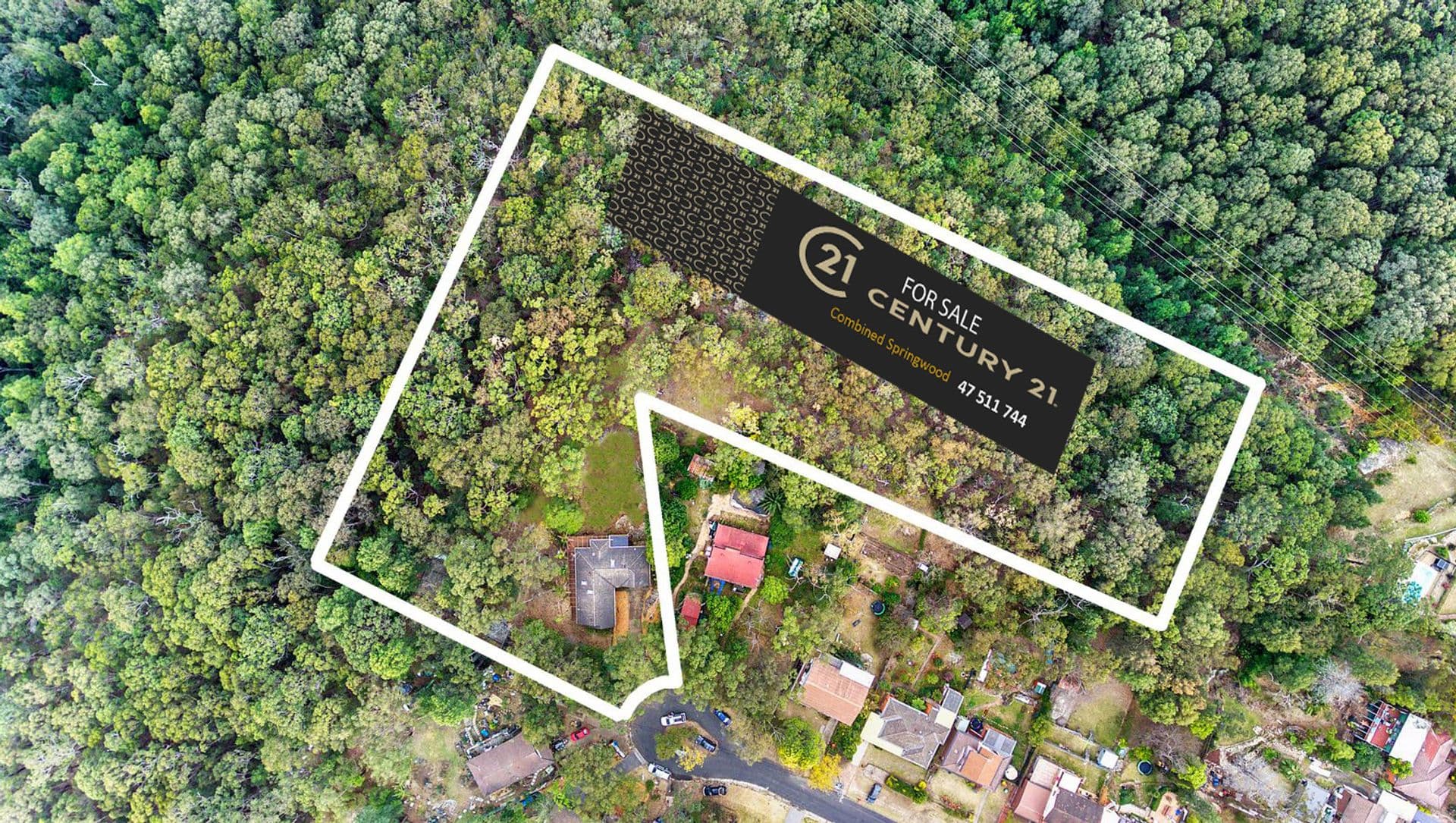 17 Edna Avenue, Springwood, NSW, 2777, Springwood - Thumbnail 5