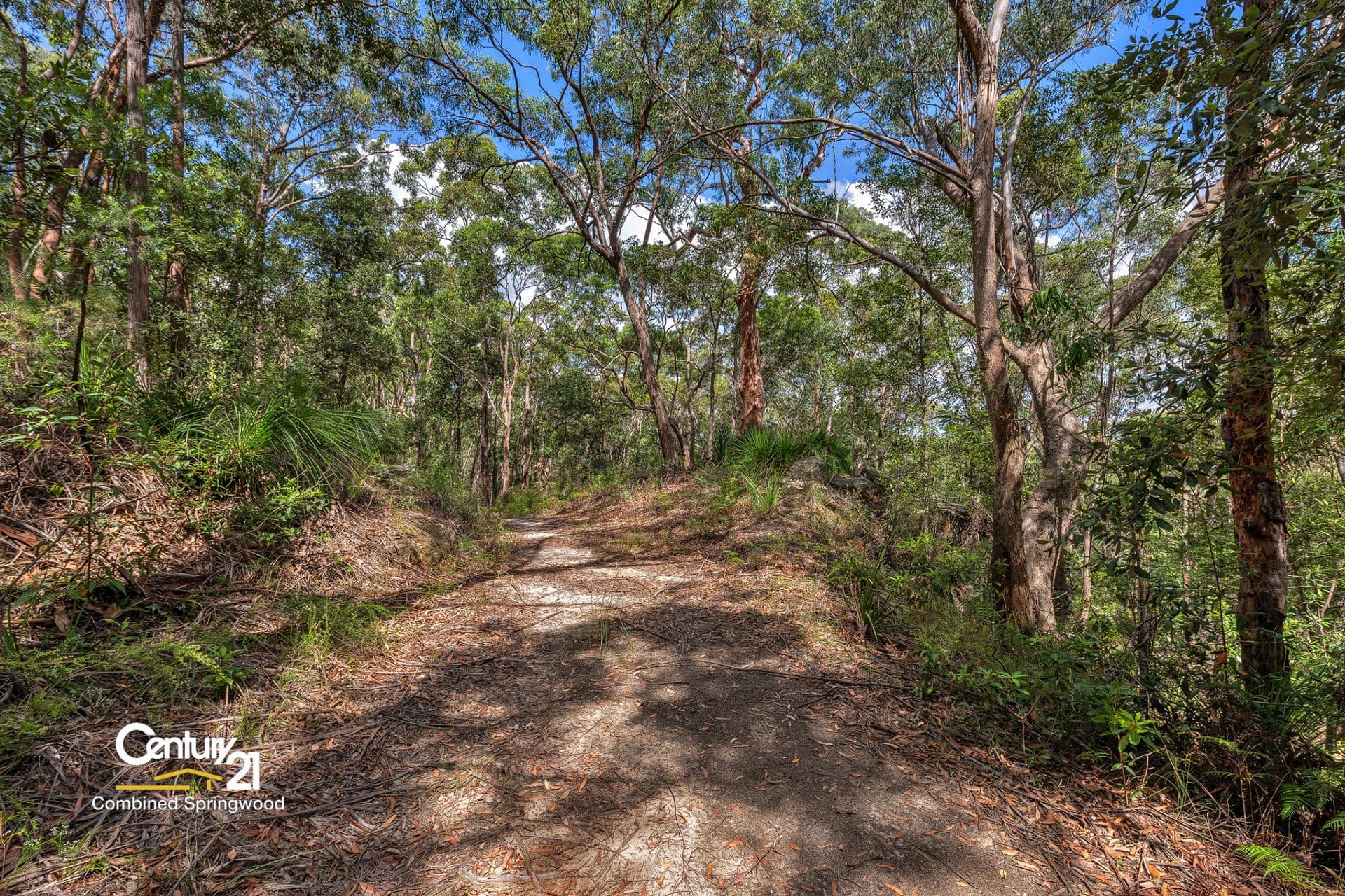 30  Pitt St, Springwood, NSW, 2777, Springwood - Thumbnail 2