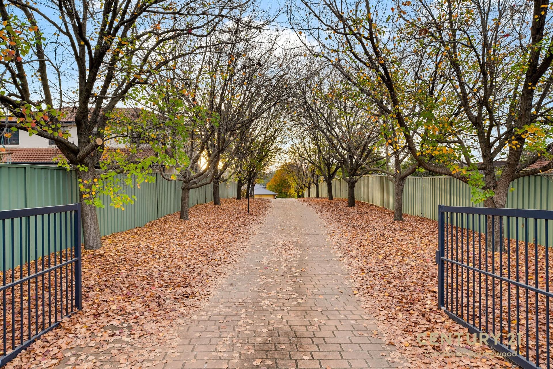 8a Coramandel Ave, Winmalee, NSW, 2777, Winmalee - Thumbnail 2