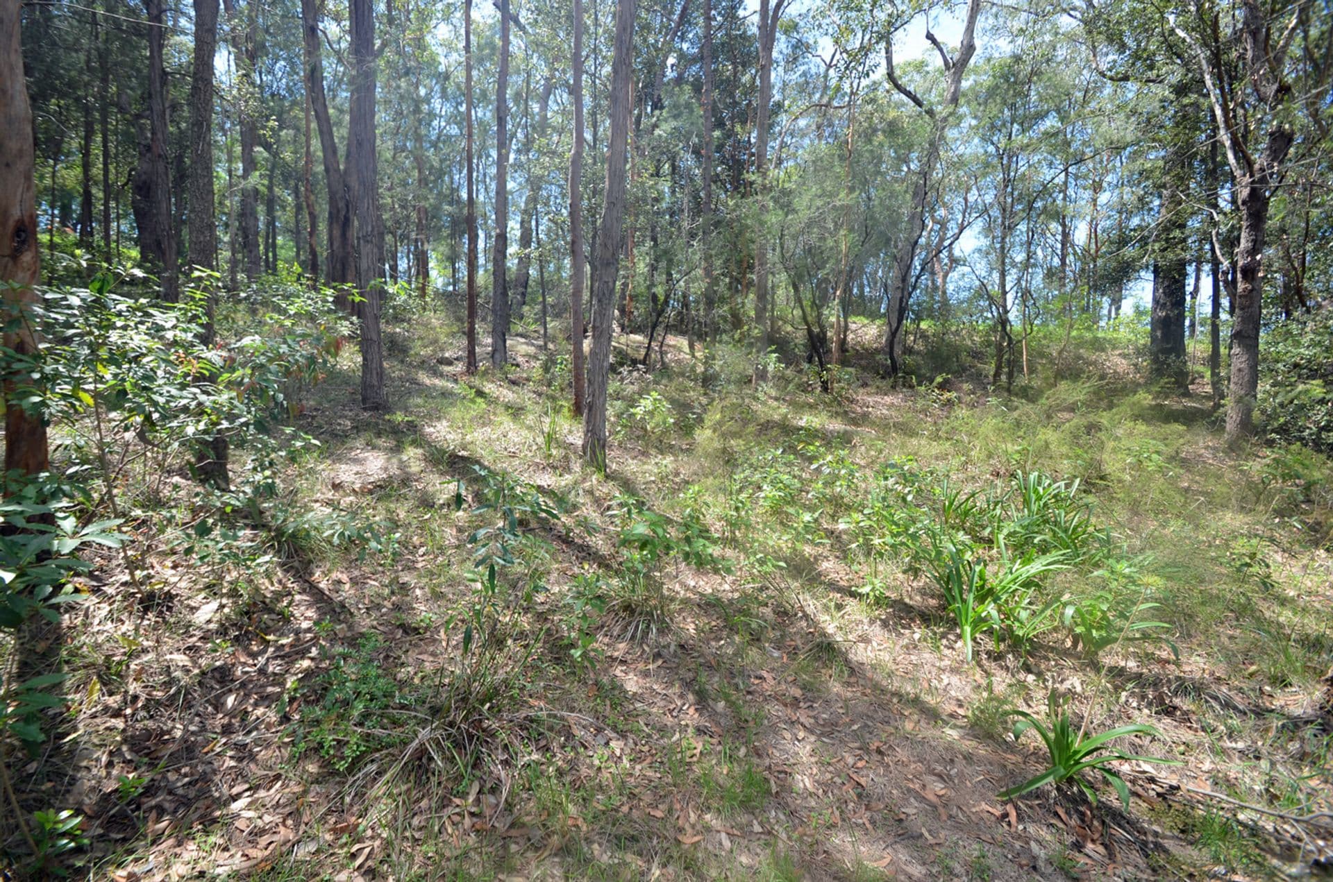 26 Tusculum Rd, Valley Heights, NSW, 2777, Valley Heights - Thumbnail 2