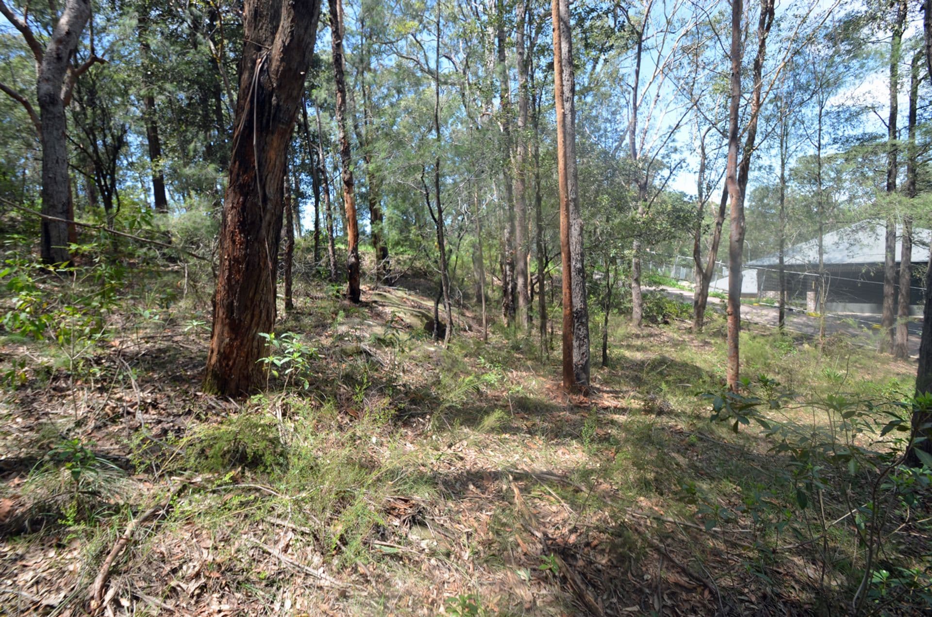 26 Tusculum Rd, Valley Heights, NSW, 2777, Valley Heights - Thumbnail 3