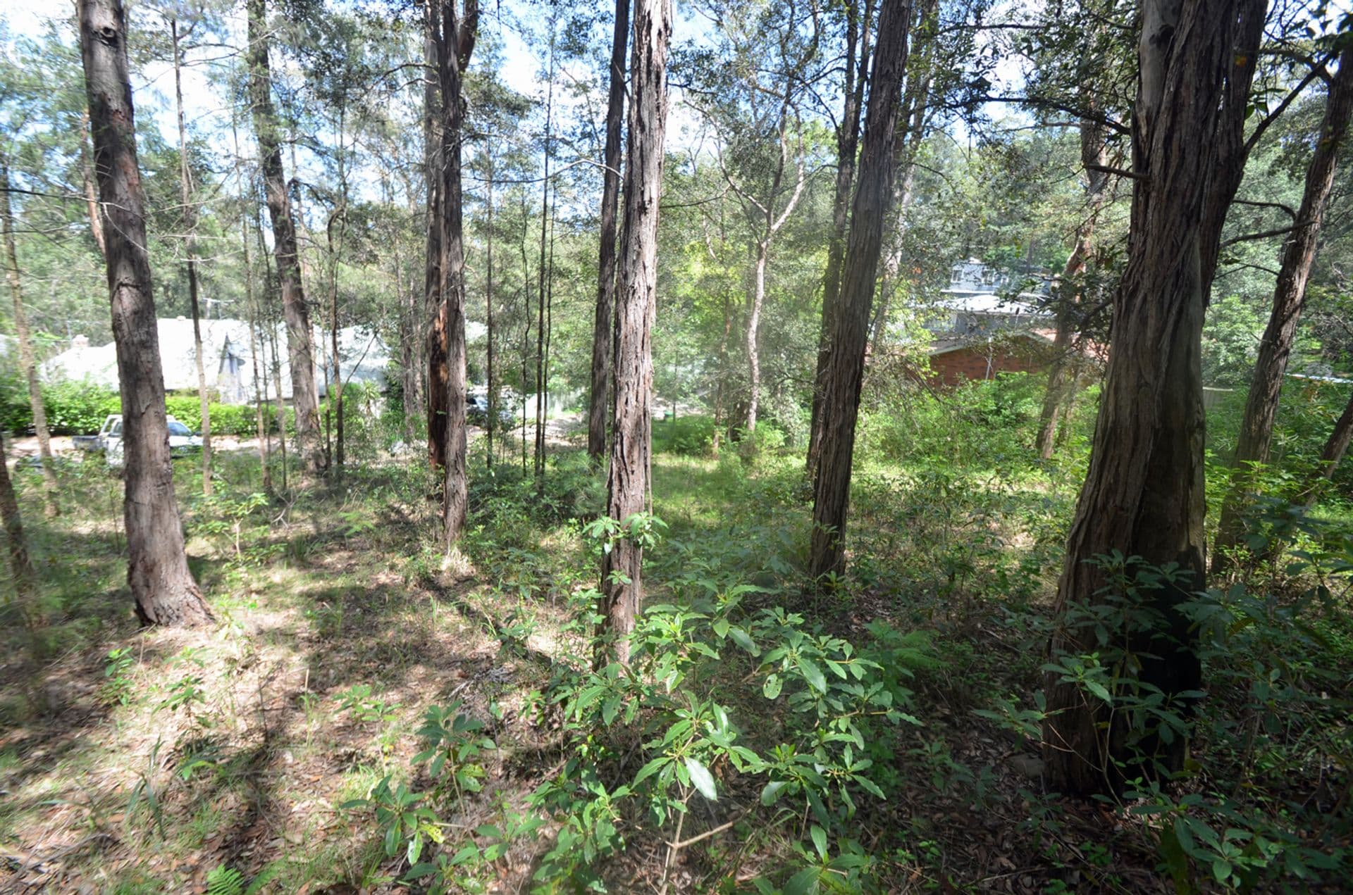 26 Tusculum Rd, Valley Heights, NSW, 2777, Valley Heights - Thumbnail 4