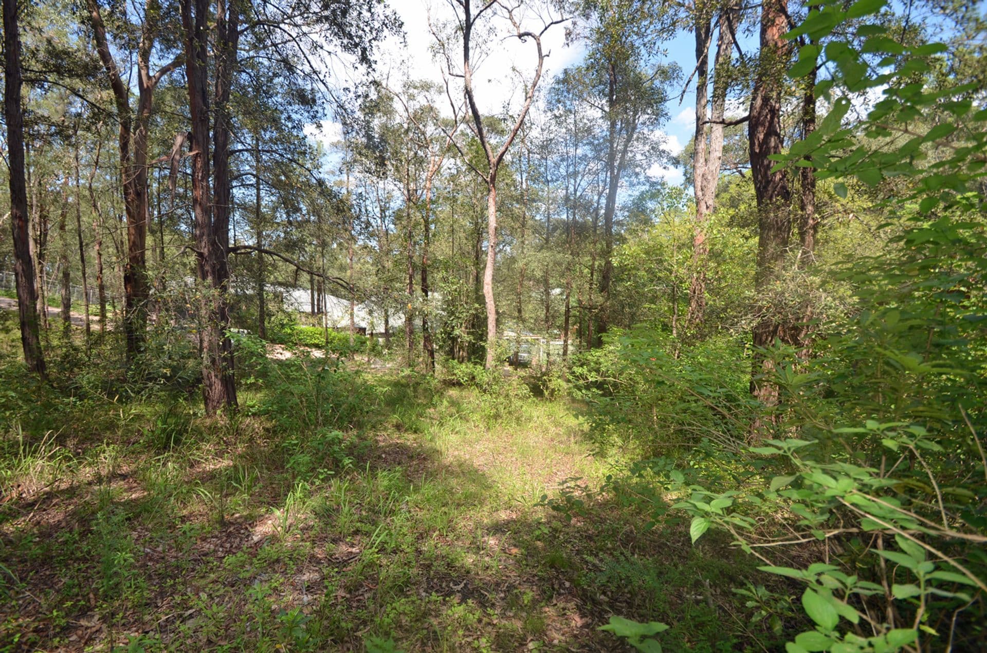 26 Tusculum Rd, Valley Heights, NSW, 2777, Valley Heights - Thumbnail 5