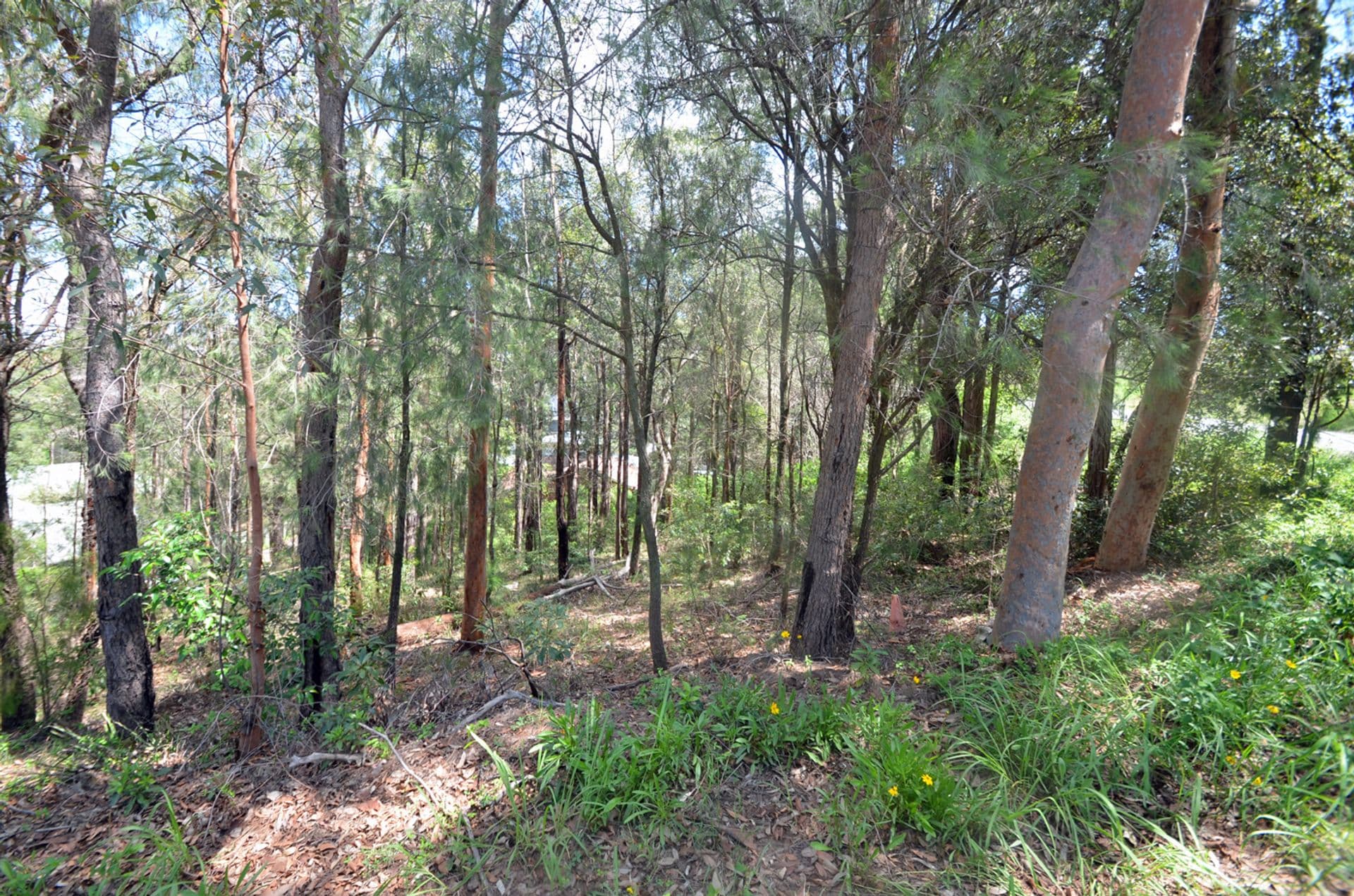 26 Tusculum Rd, Valley Heights, NSW, 2777, Valley Heights - Thumbnail 6