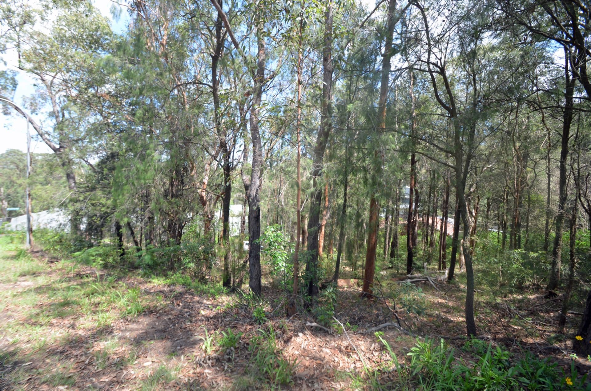26 Tusculum Rd, Valley Heights, NSW, 2777, Valley Heights - Thumbnail 7