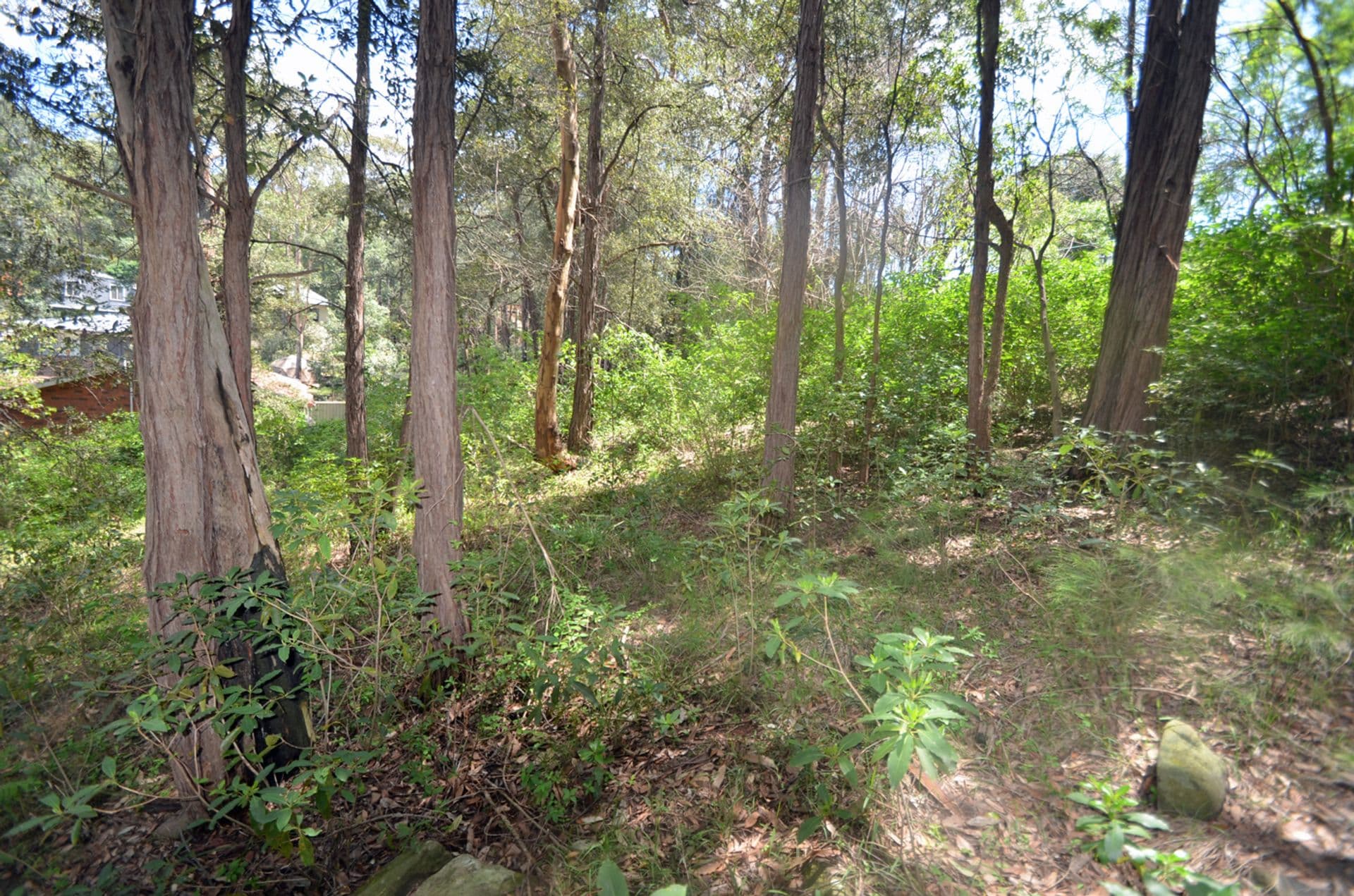 25 Tusculum Rd, Valley Heights, NSW, 2777, Valley Heights - Thumbnail 4