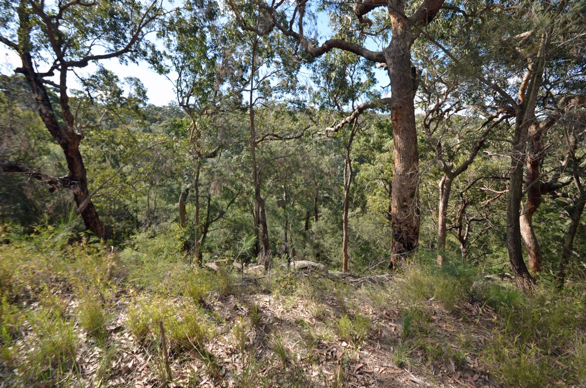 35 Roberts Parade, Hawkesbury Heights, NSW, 2777, Hawkesbury Heights - Image 1