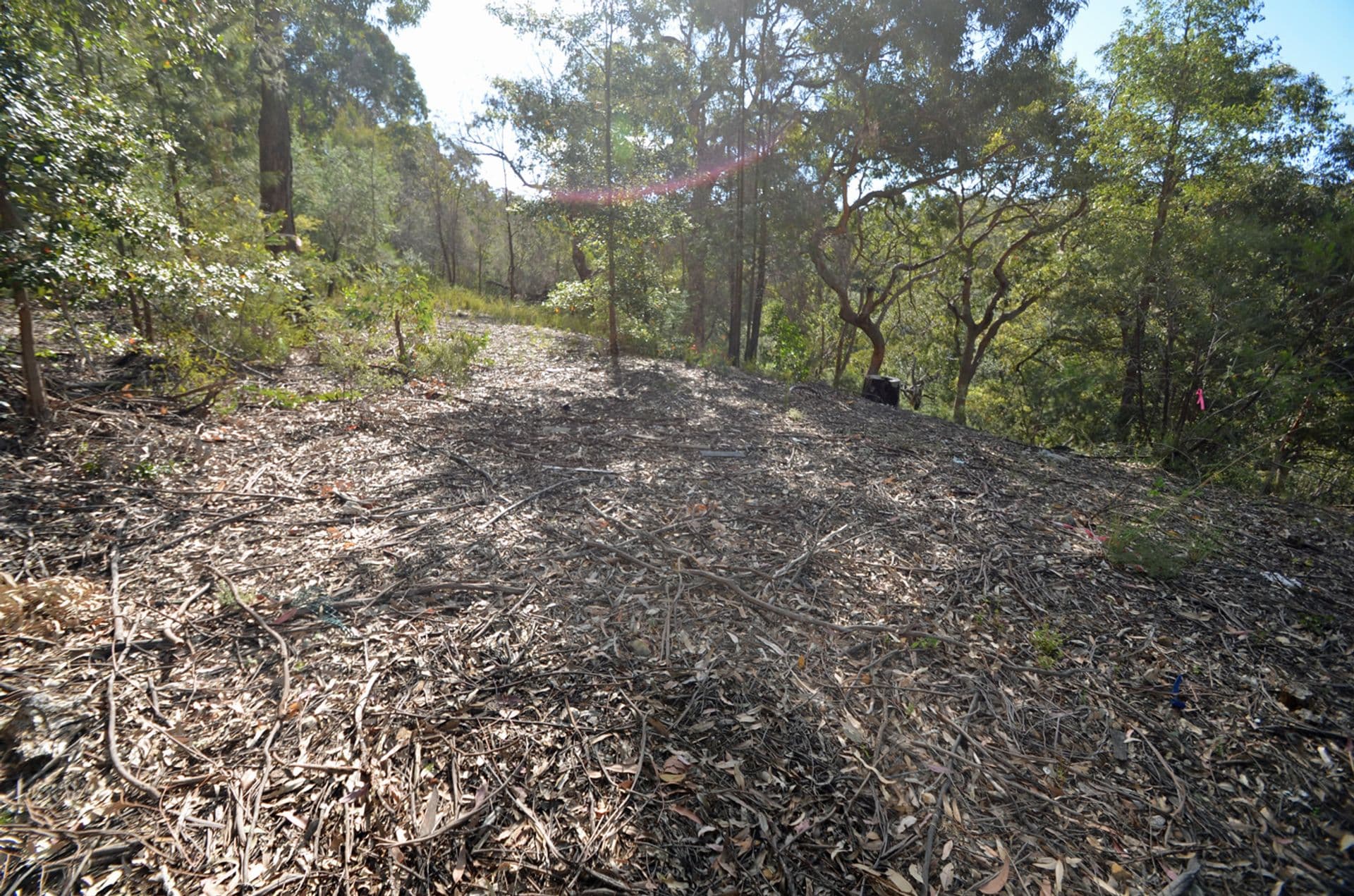 35 Roberts Parade, Hawkesbury Heights, NSW, 2777, Hawkesbury Heights - Thumbnail 3