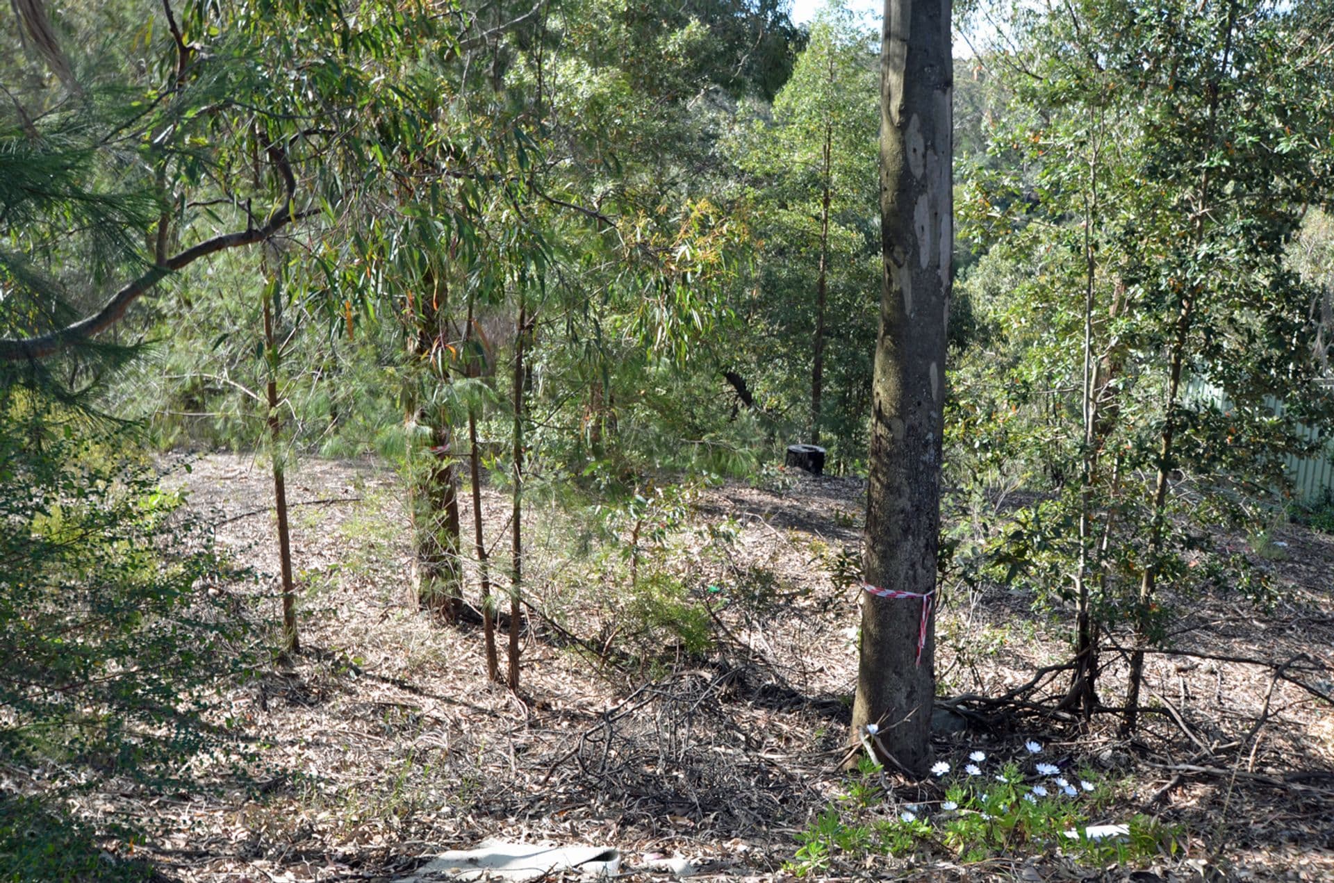 35 Roberts Parade, Hawkesbury Heights, NSW, 2777, Hawkesbury Heights - Thumbnail 6