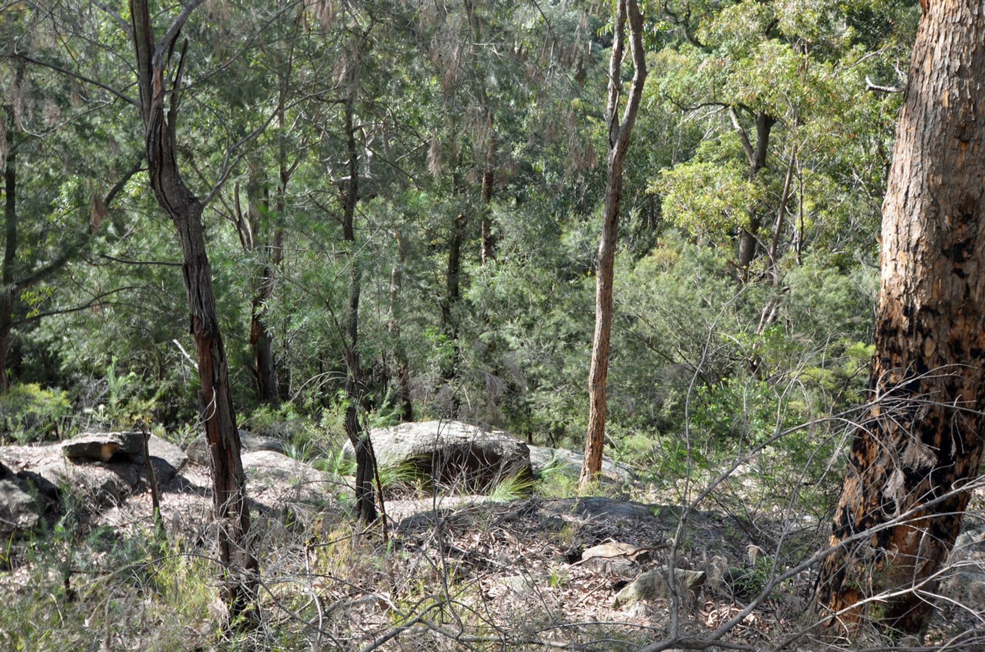 35 Roberts Parade, Hawkesbury Heights, NSW, 2777, Hawkesbury Heights - Thumbnail 7