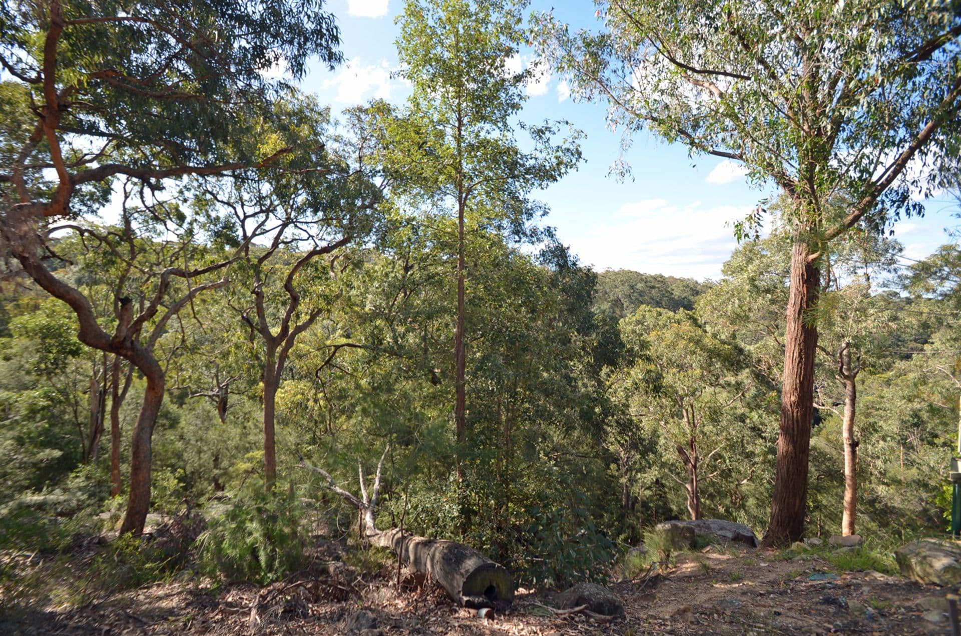 35 Roberts Parade, Hawkesbury Heights, NSW, 2777, Hawkesbury Heights - Thumbnail 8