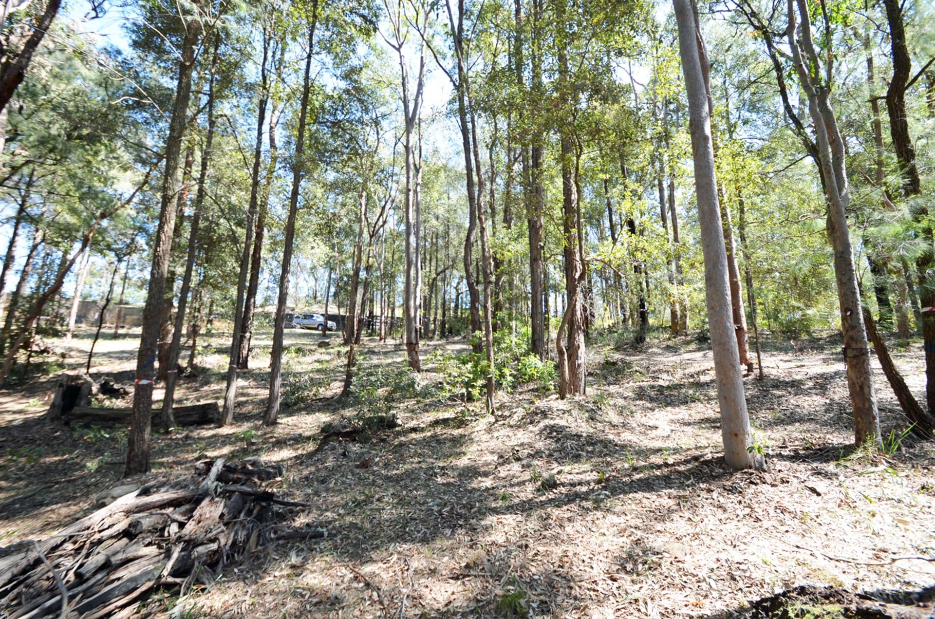101 Great Western Highway, Sun Valley, NSW, 2777, Sun Valley - Thumbnail 2
