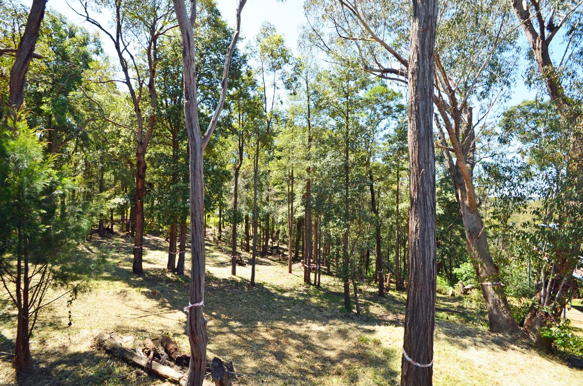 101 Great Western Highway, Sun Valley, NSW, 2777, Sun Valley - Image 1