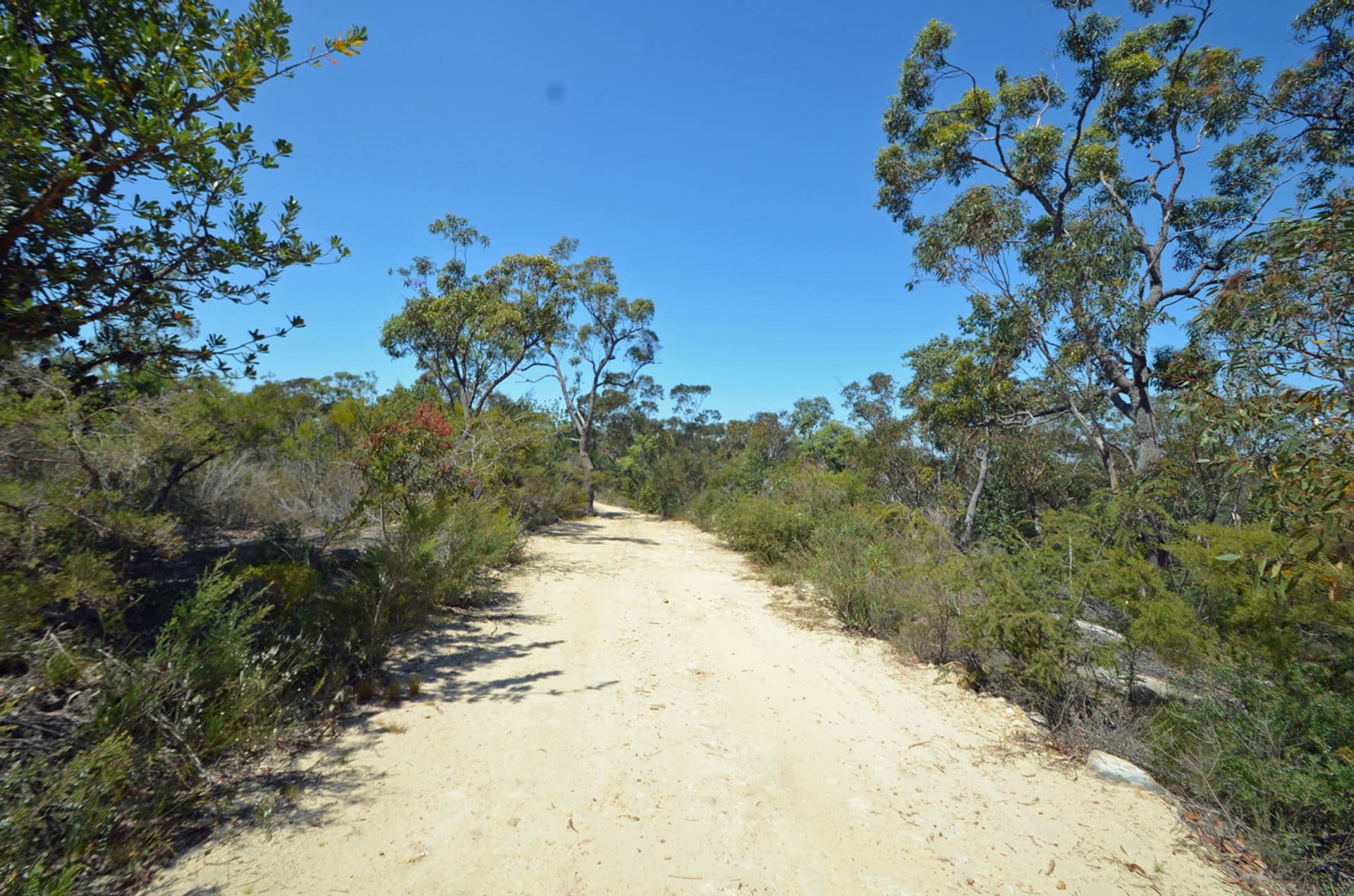 5 Binstead Road, Faulconbridge, NSW, 2776, Faulconbridge - Thumbnail 3