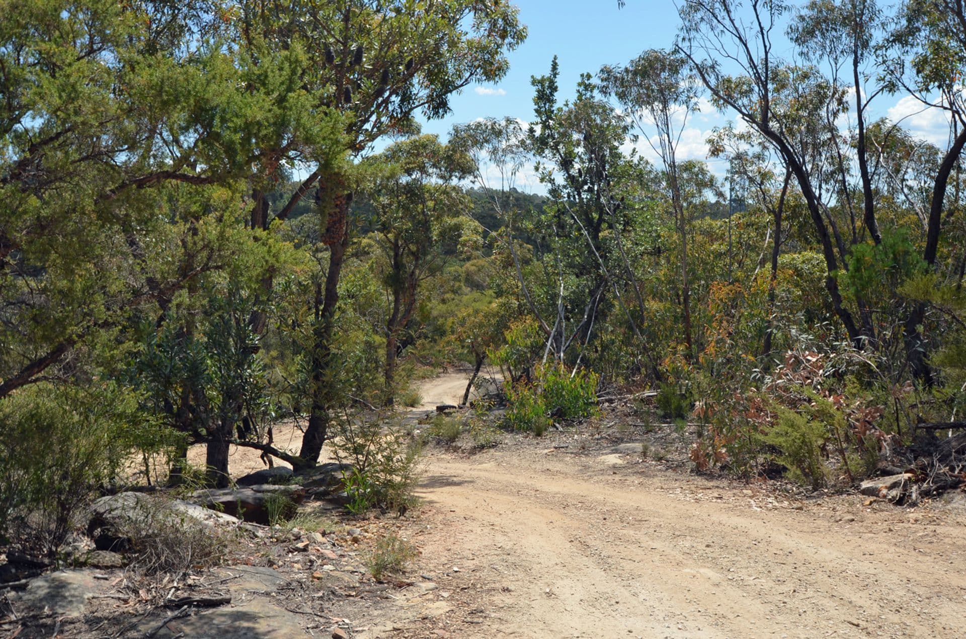5 Binstead Road, Faulconbridge, NSW, 2776, Faulconbridge - Thumbnail 4