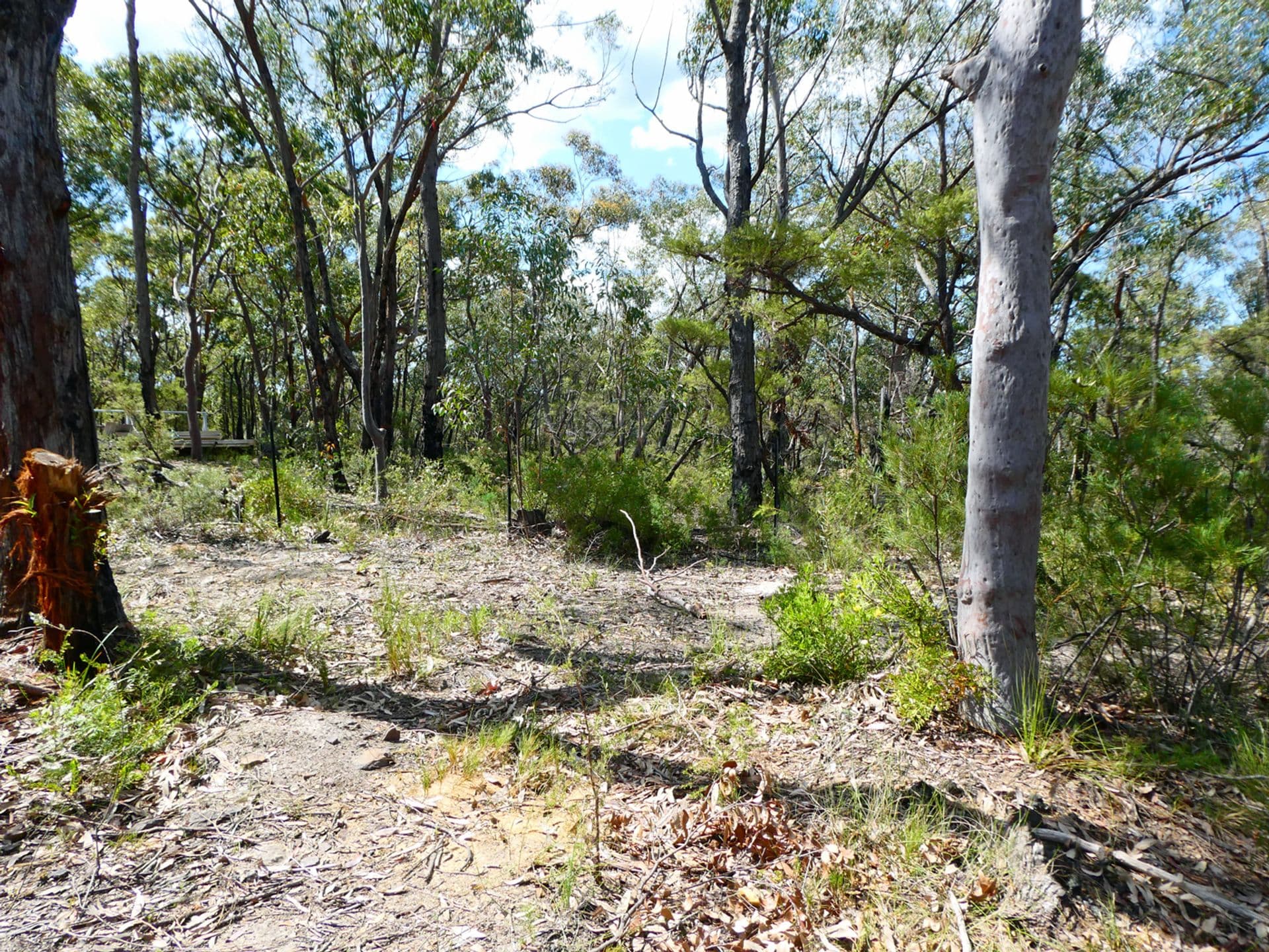 5 Binstead Road, Faulconbridge, NSW, 2776, Faulconbridge - Thumbnail 8