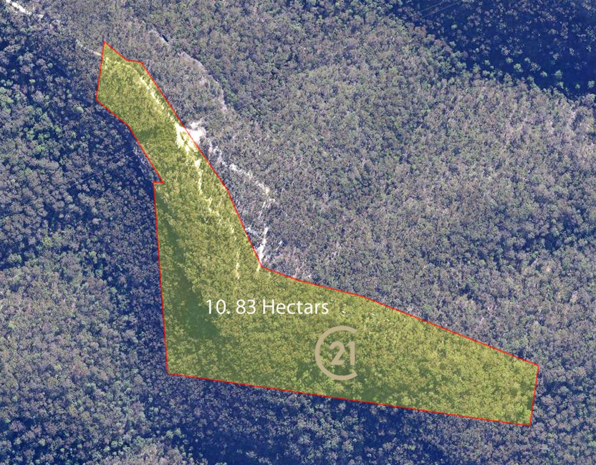 5 Binstead Road, Faulconbridge, NSW, 2776, Faulconbridge - Thumbnail 2