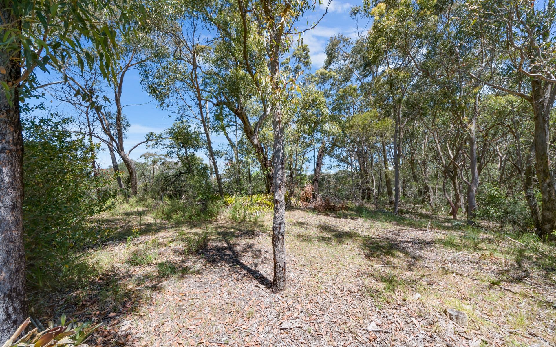 2 Weemala Avenue, Linden, NSW, 2778, Linden - Thumbnail 5