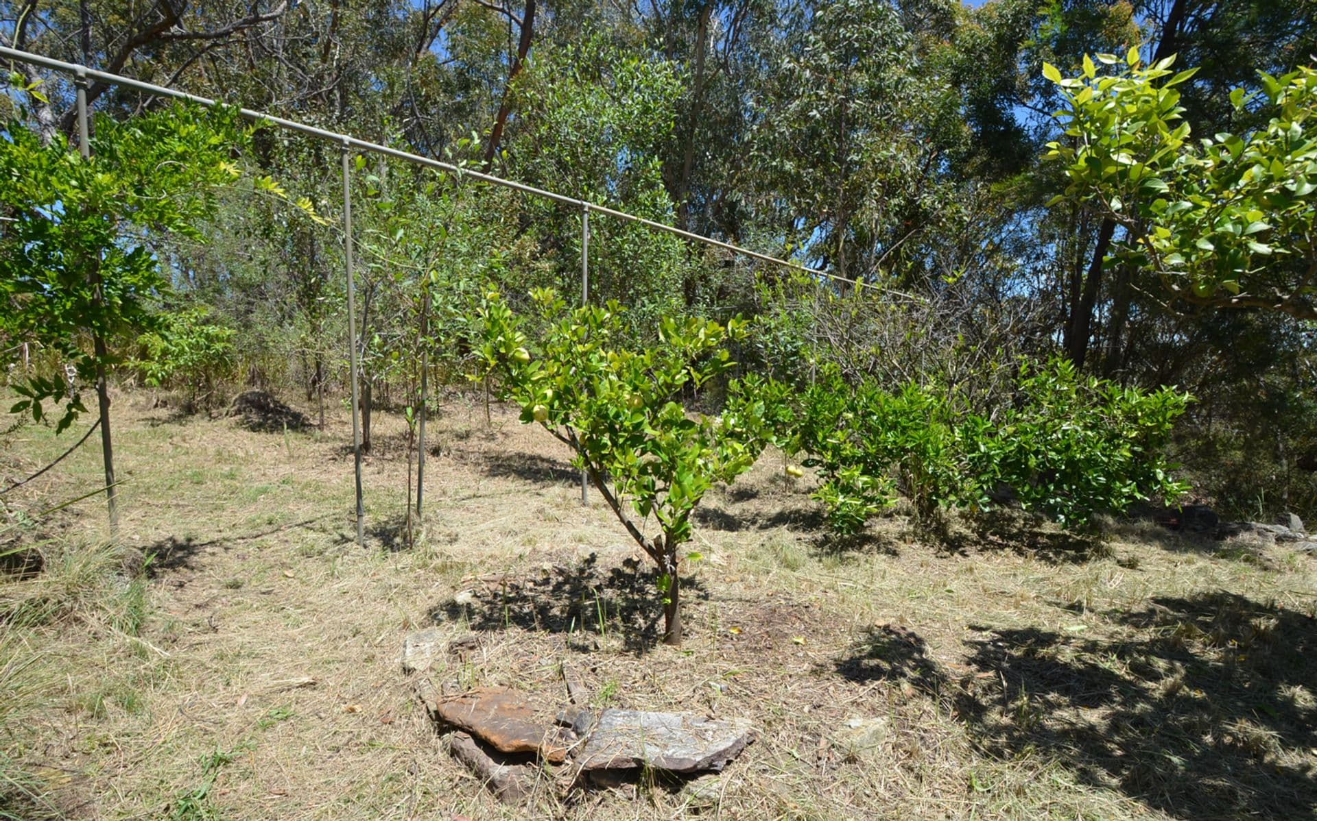 2 Weemala Avenue, Linden, NSW, 2778, Linden - Thumbnail 6