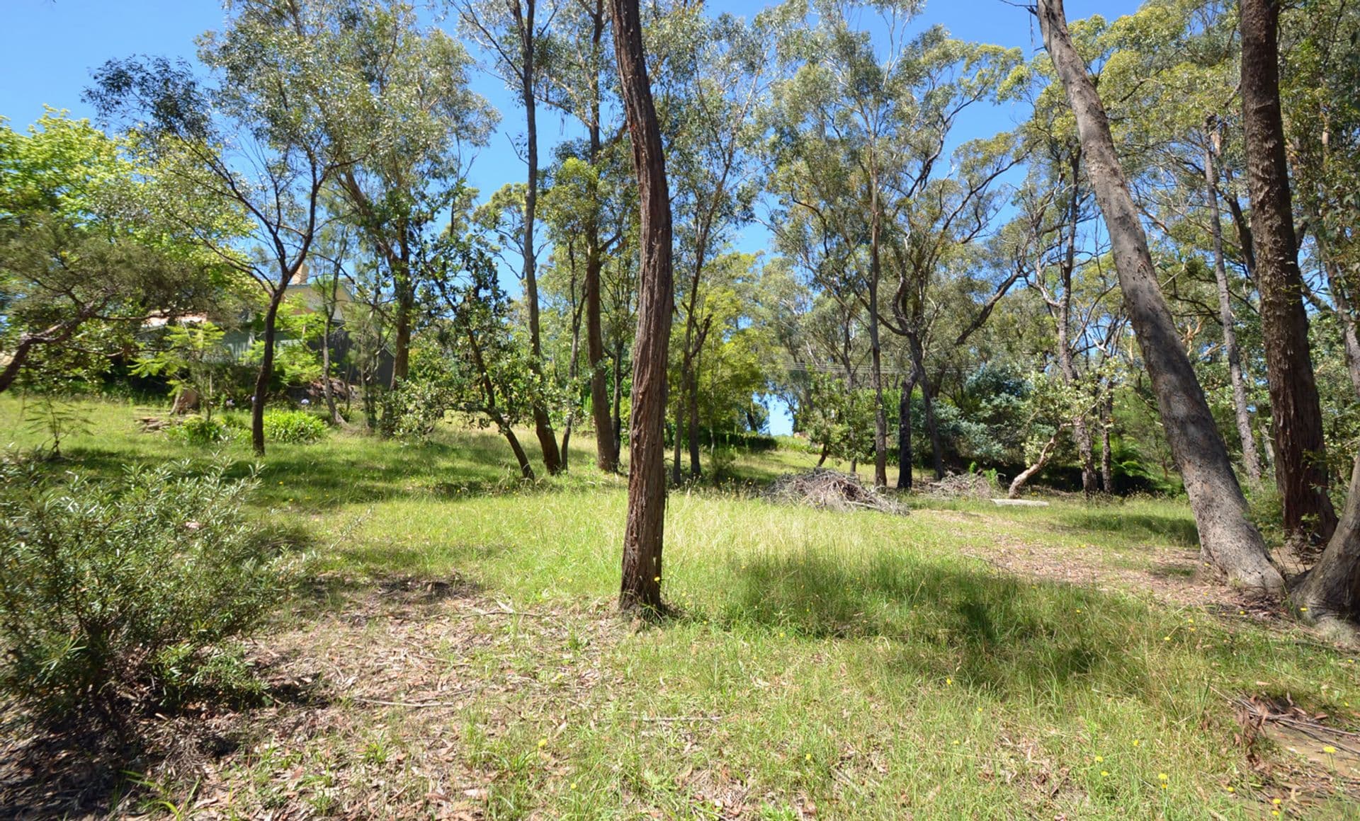 30 Forest Glen Road, Woodford, NSW, 2778, Woodford - Thumbnail 2