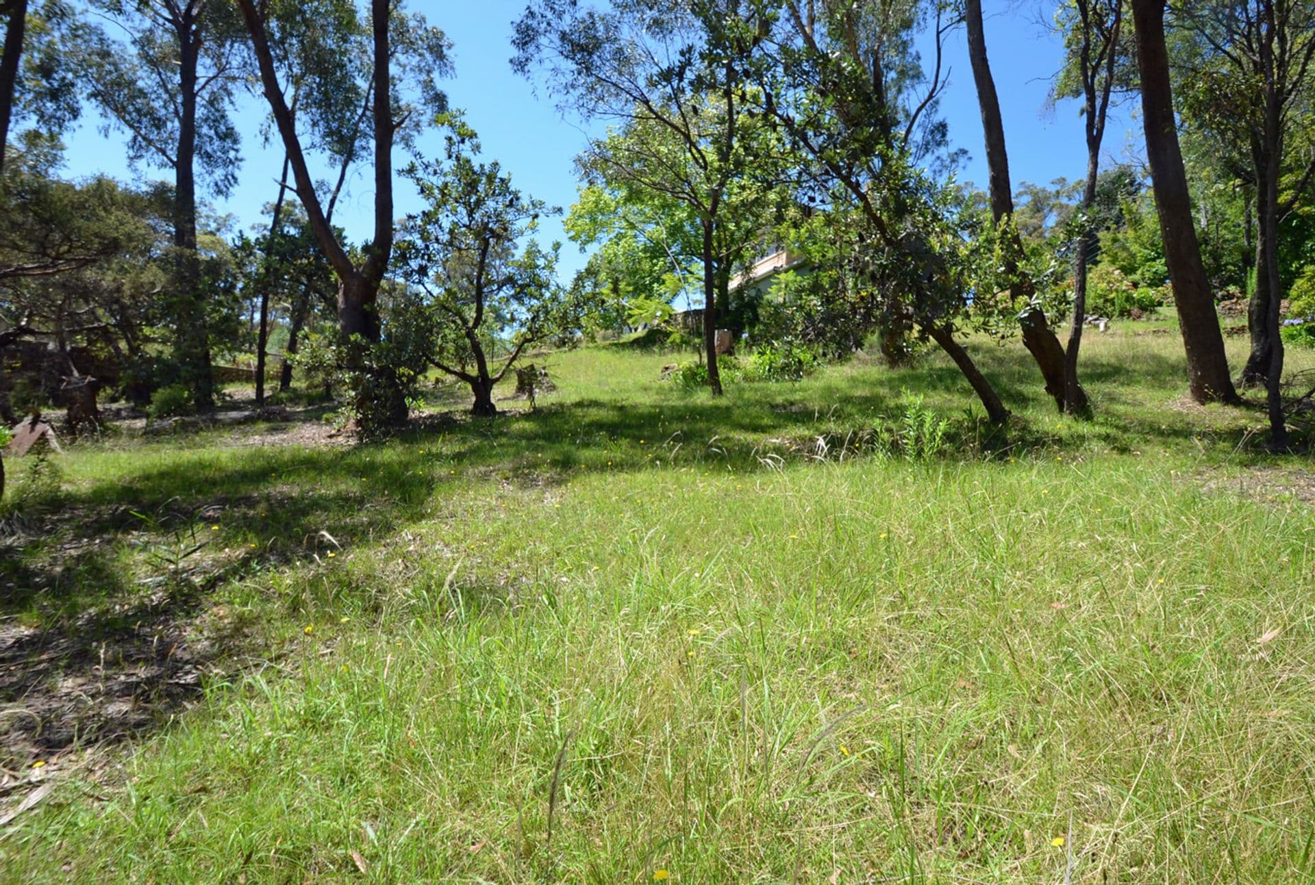 30 Forest Glen Road, Woodford, NSW, 2778, Woodford - Thumbnail 4