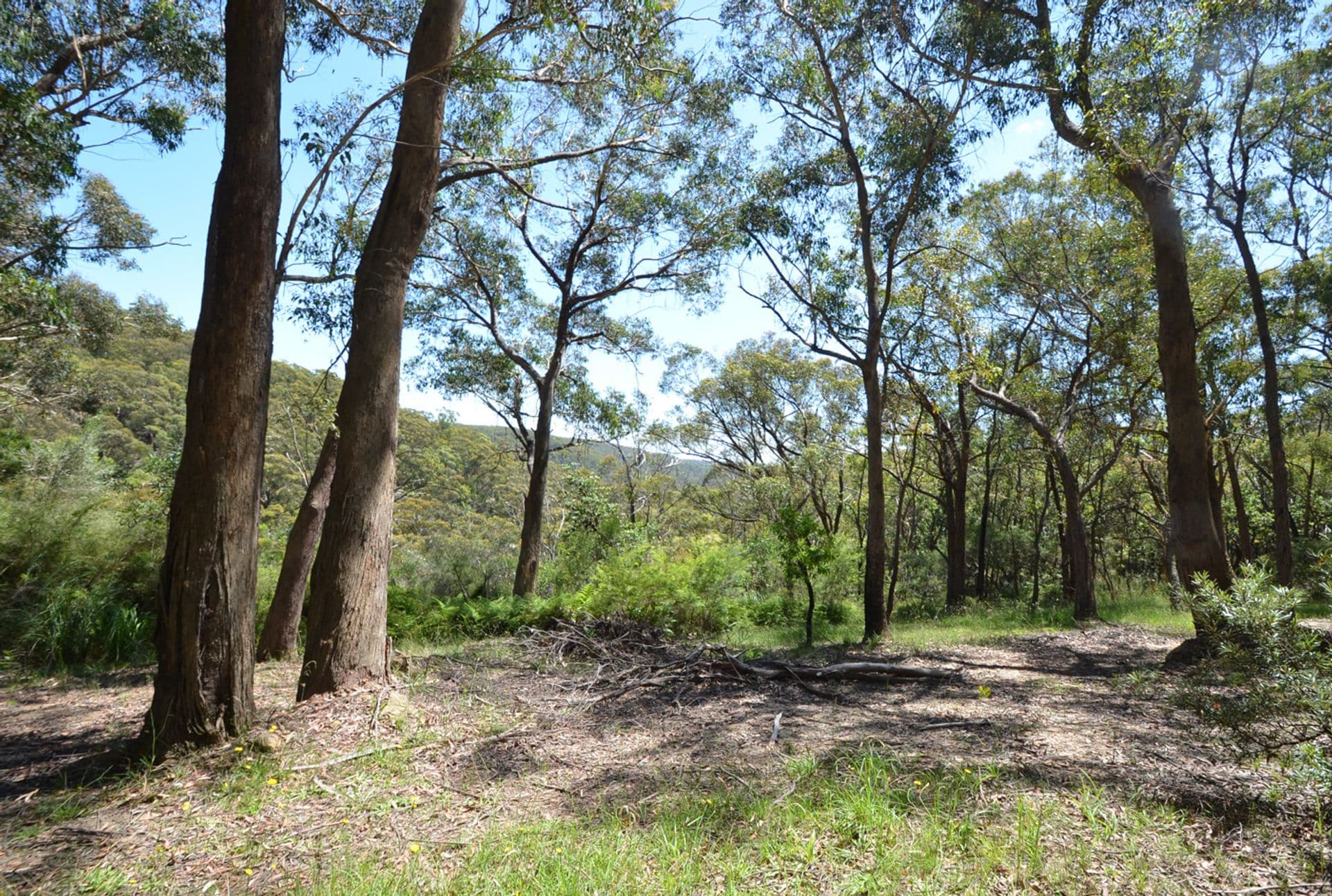30 Forest Glen Road, Woodford, NSW, 2778, Woodford - Thumbnail 5