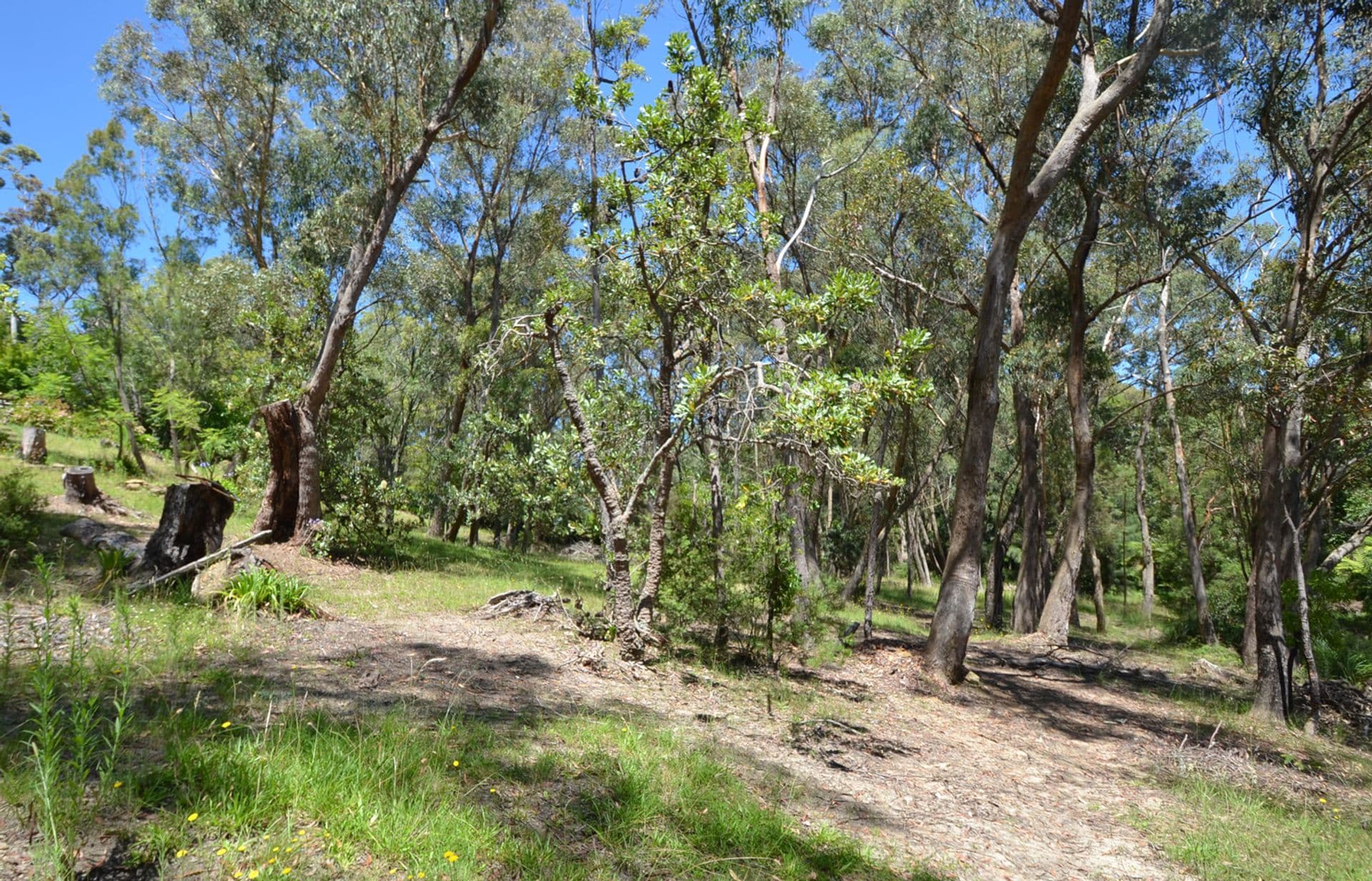 30 Forest Glen Road, Woodford, NSW, 2778, Woodford - Thumbnail 8