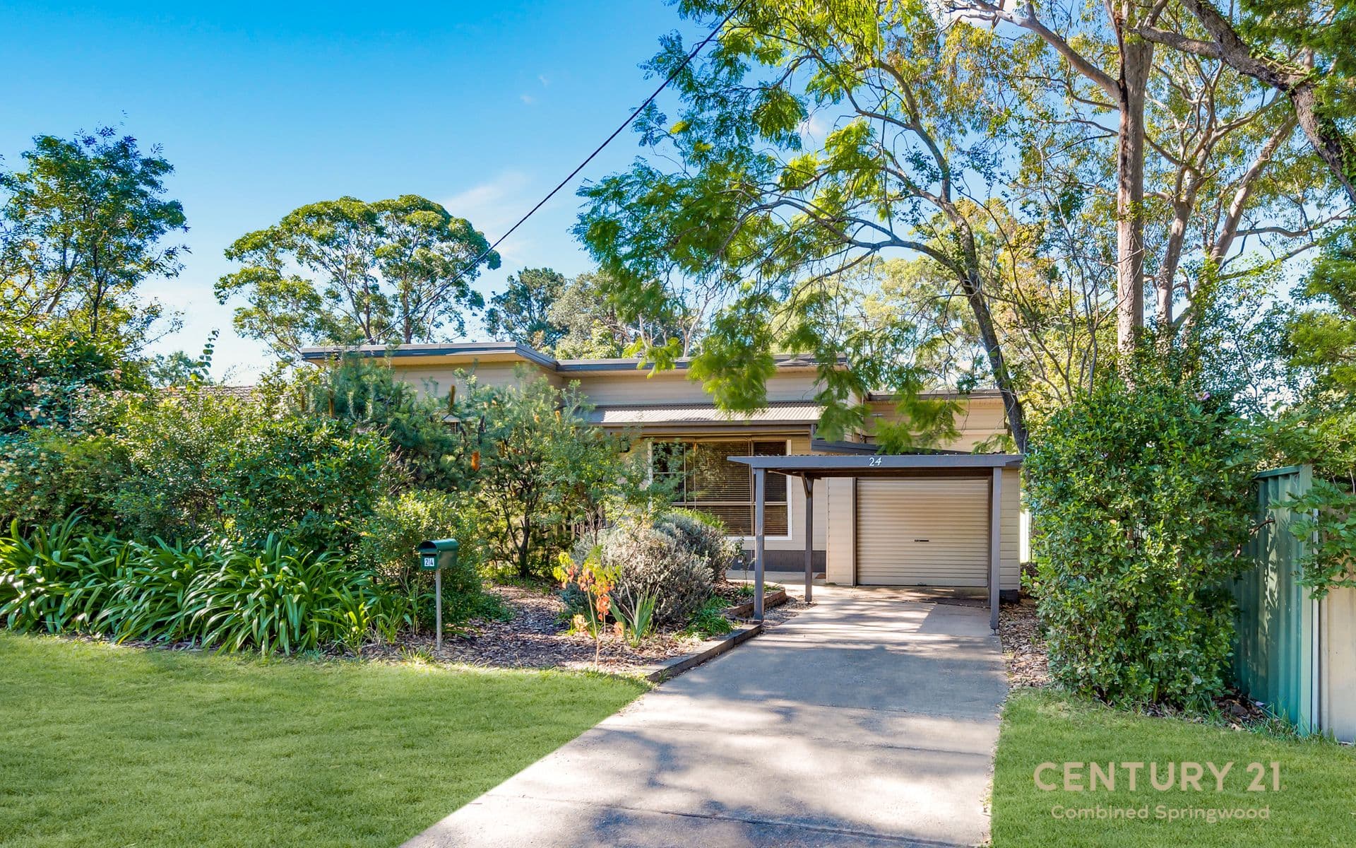 24 Alderton Avenue, Springwood, NSW, 2777, Springwood - Image 1
