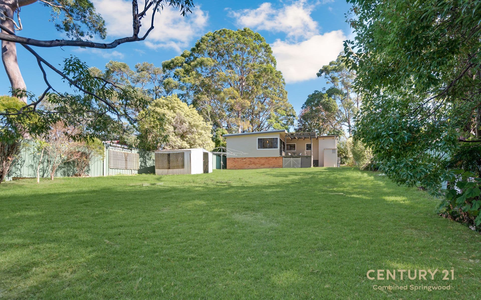 24 Alderton Avenue, Springwood, NSW, 2777, Springwood - Thumbnail 2