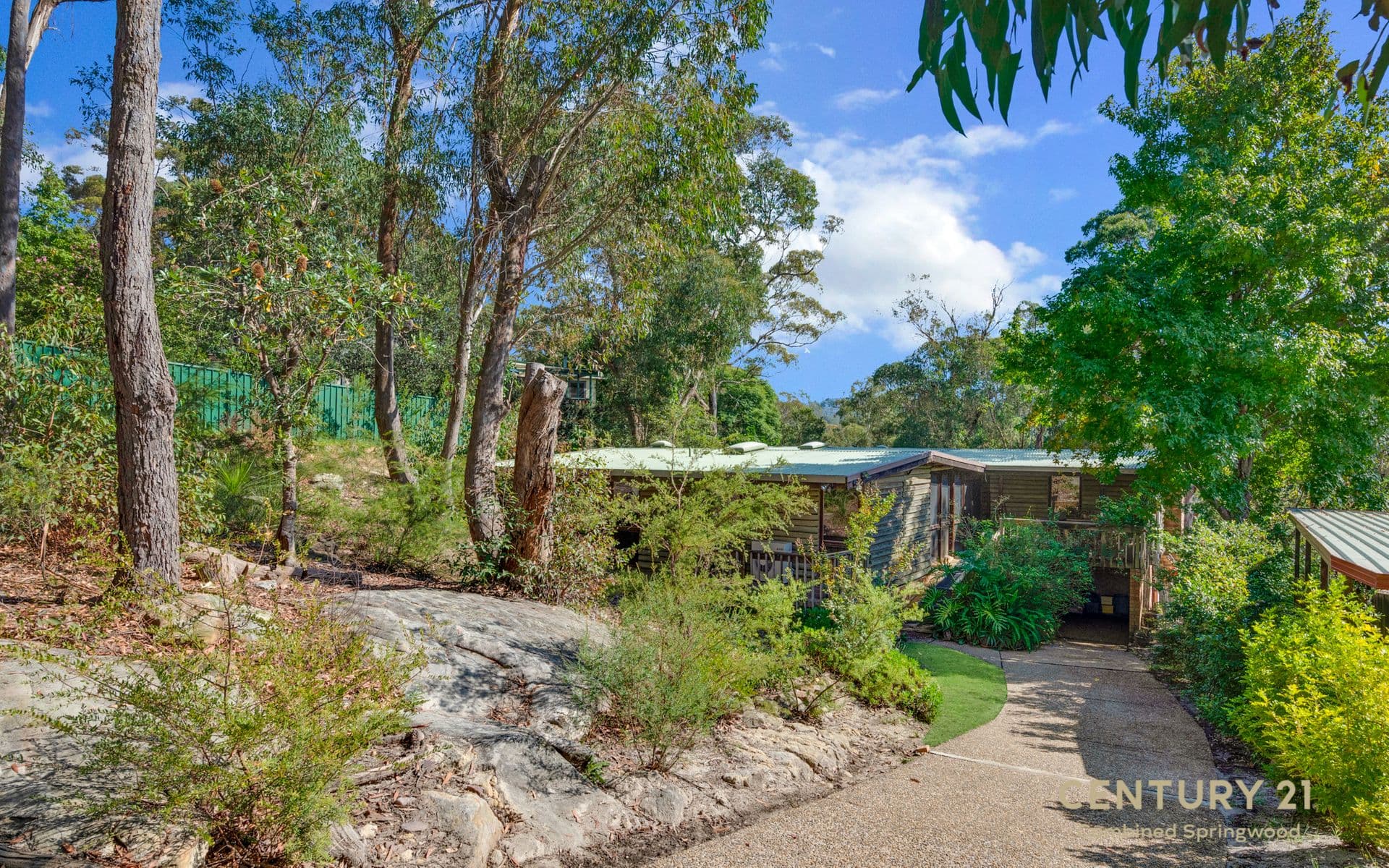 115  Davies Ave, Springwood, NSW, 2777, Springwood - Thumbnail 5