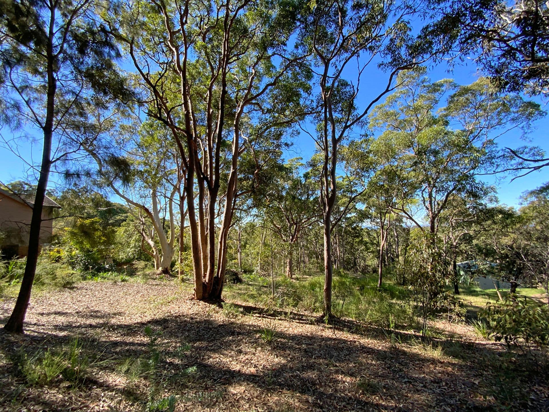 23 Highland Road, Faulconbridge, NSW, 2776, Faulconbridge - Thumbnail 4