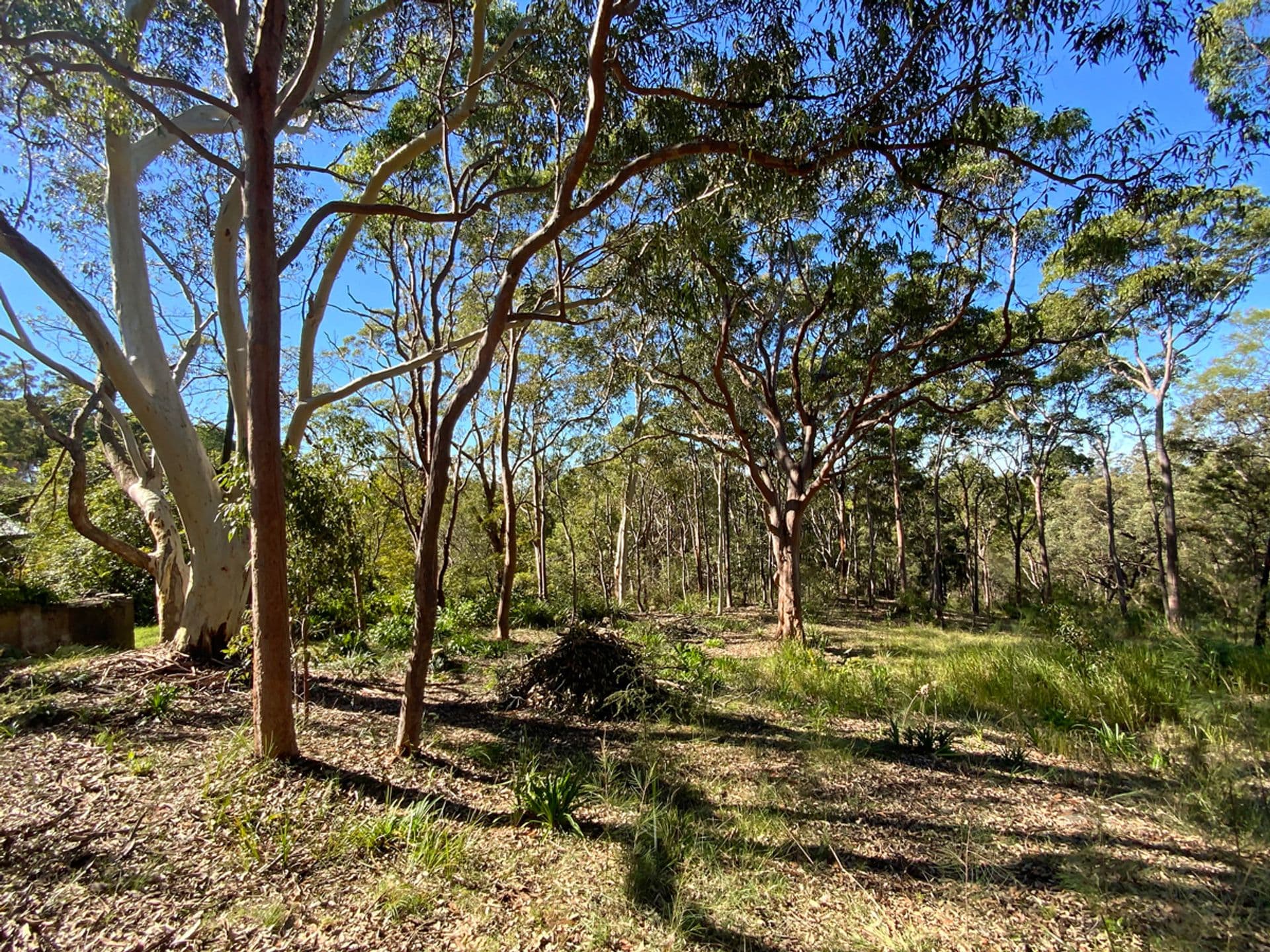 23 Highland Road, Faulconbridge, NSW, 2776, Faulconbridge - Thumbnail 5