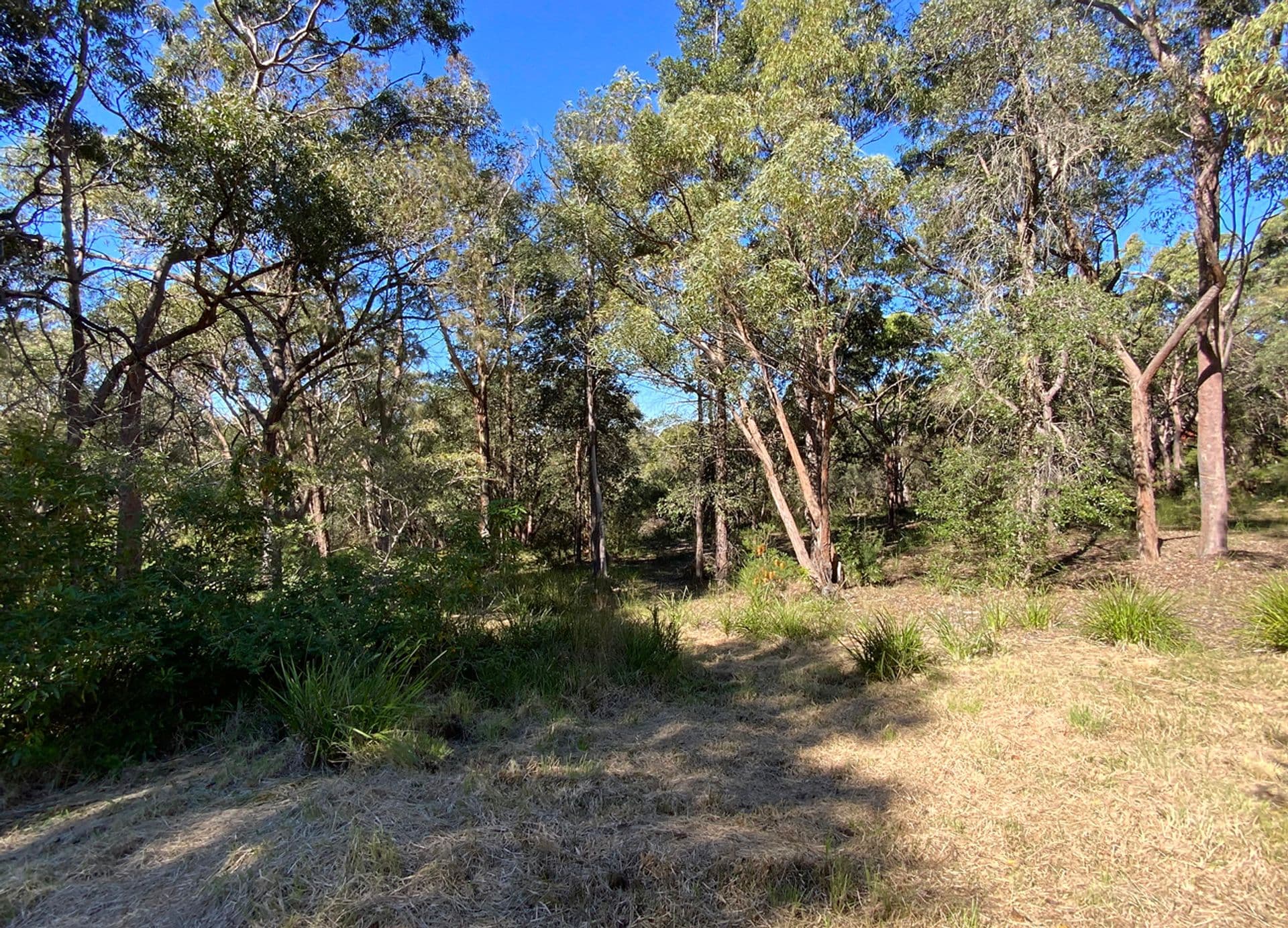 23 Highland Road, Faulconbridge, NSW, 2776, Faulconbridge - Thumbnail 6
