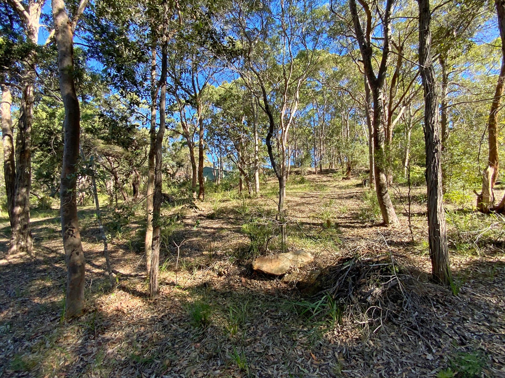 23 Highland Road, Faulconbridge, NSW, 2776, Faulconbridge - Thumbnail 8