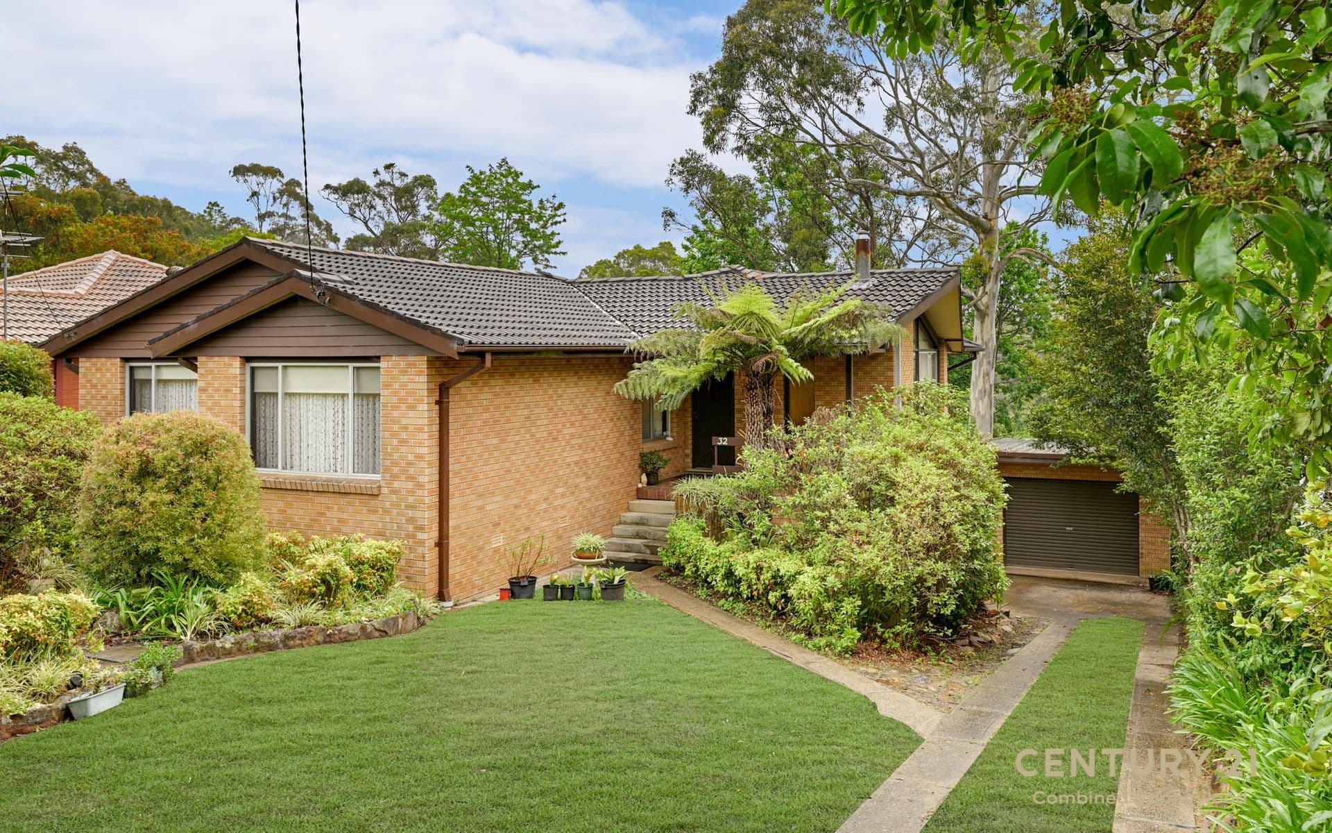 135 Macquarie Road, Springwood, NSW, 2777, Faulconbridge - Thumbnail 5