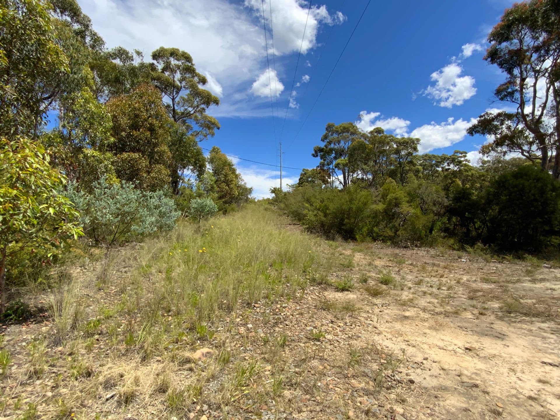 4 Badham Street, Faulconbridge, NSW, 2776, Faulconbridge - Thumbnail 5