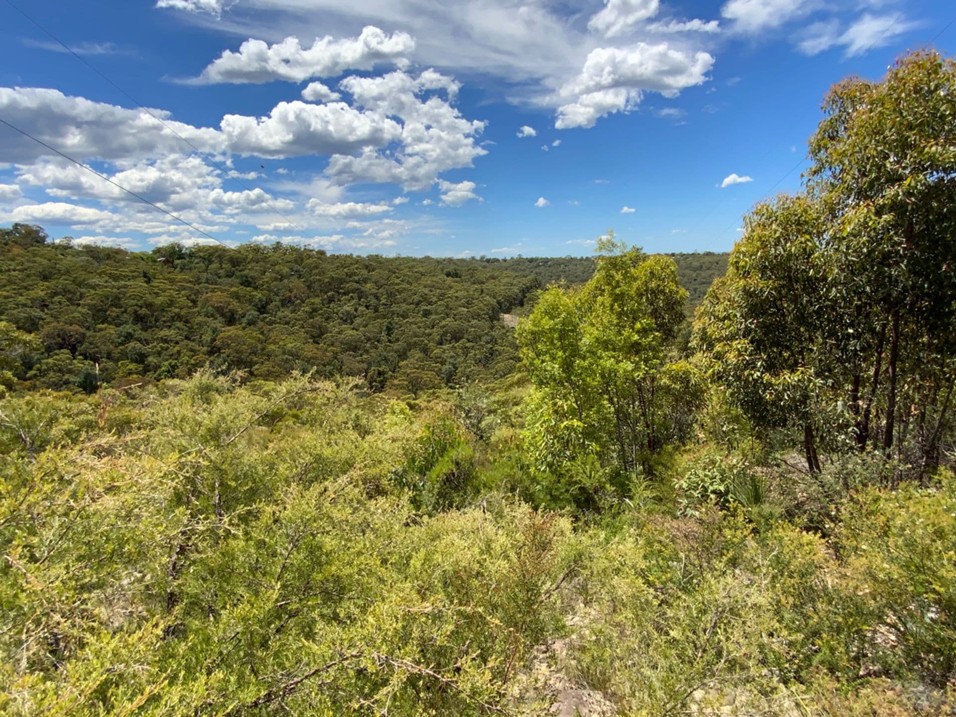 4 Badham Street, Faulconbridge, NSW, 2776, Faulconbridge - Thumbnail 8