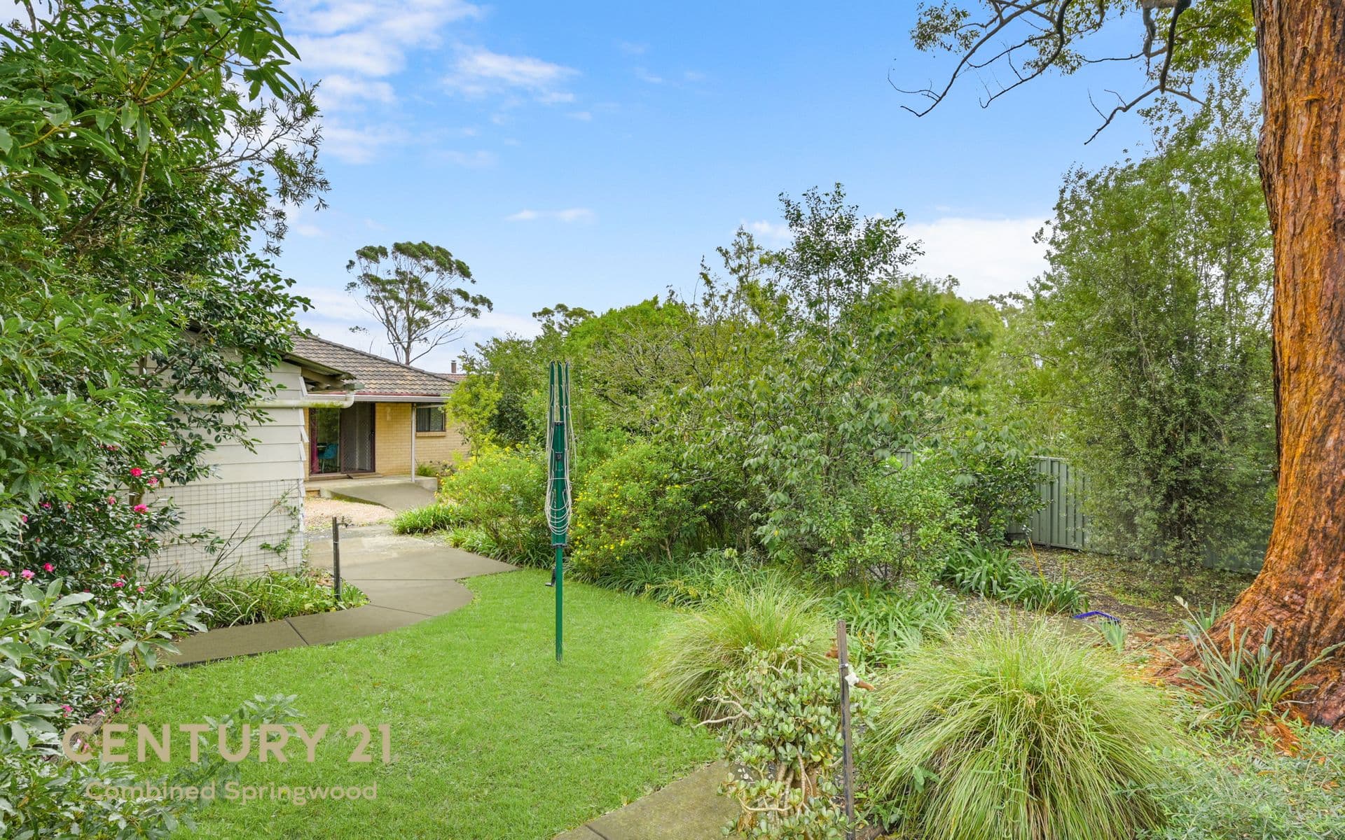 135 Macquarie Road, Springwood, NSW, 2777, Winmalee - Thumbnail 4
