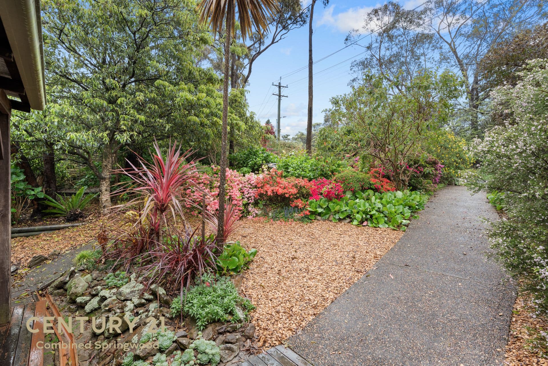 104 Railway Parade, Hazelbrook, NSW, 2779, Hazelbrook - Thumbnail 2