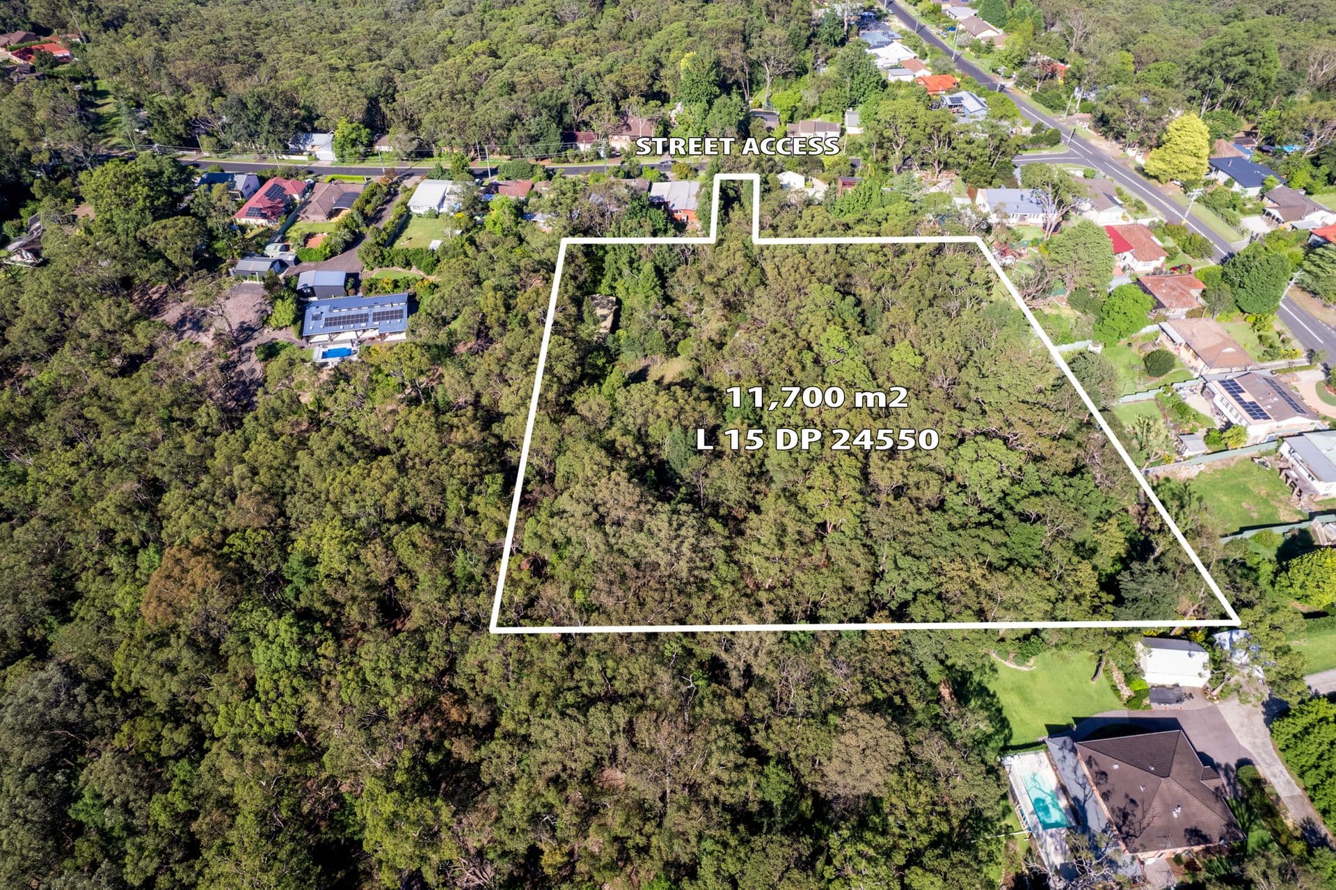 10 Farm Road, Springwood, NSW, 2777, Springwood - Thumbnail 5