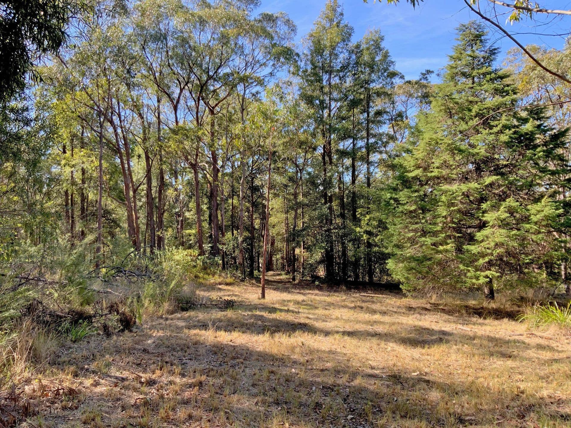 10 Farm Road, Springwood, NSW, 2777, Springwood - Thumbnail 8