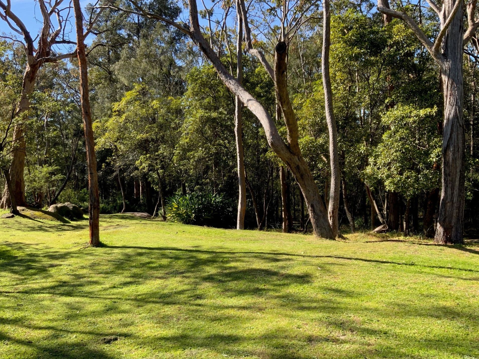 10 Farm Road, Springwood, NSW, 2777, Springwood - Image 1