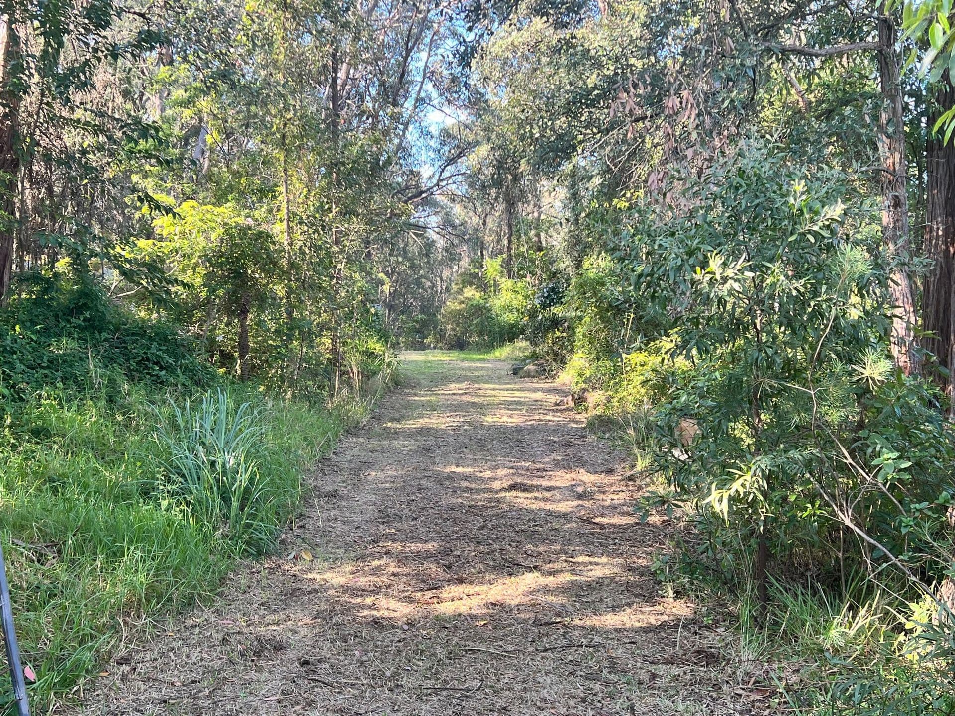 10 Farm Road, Springwood, NSW, 2777, Springwood - Thumbnail 7