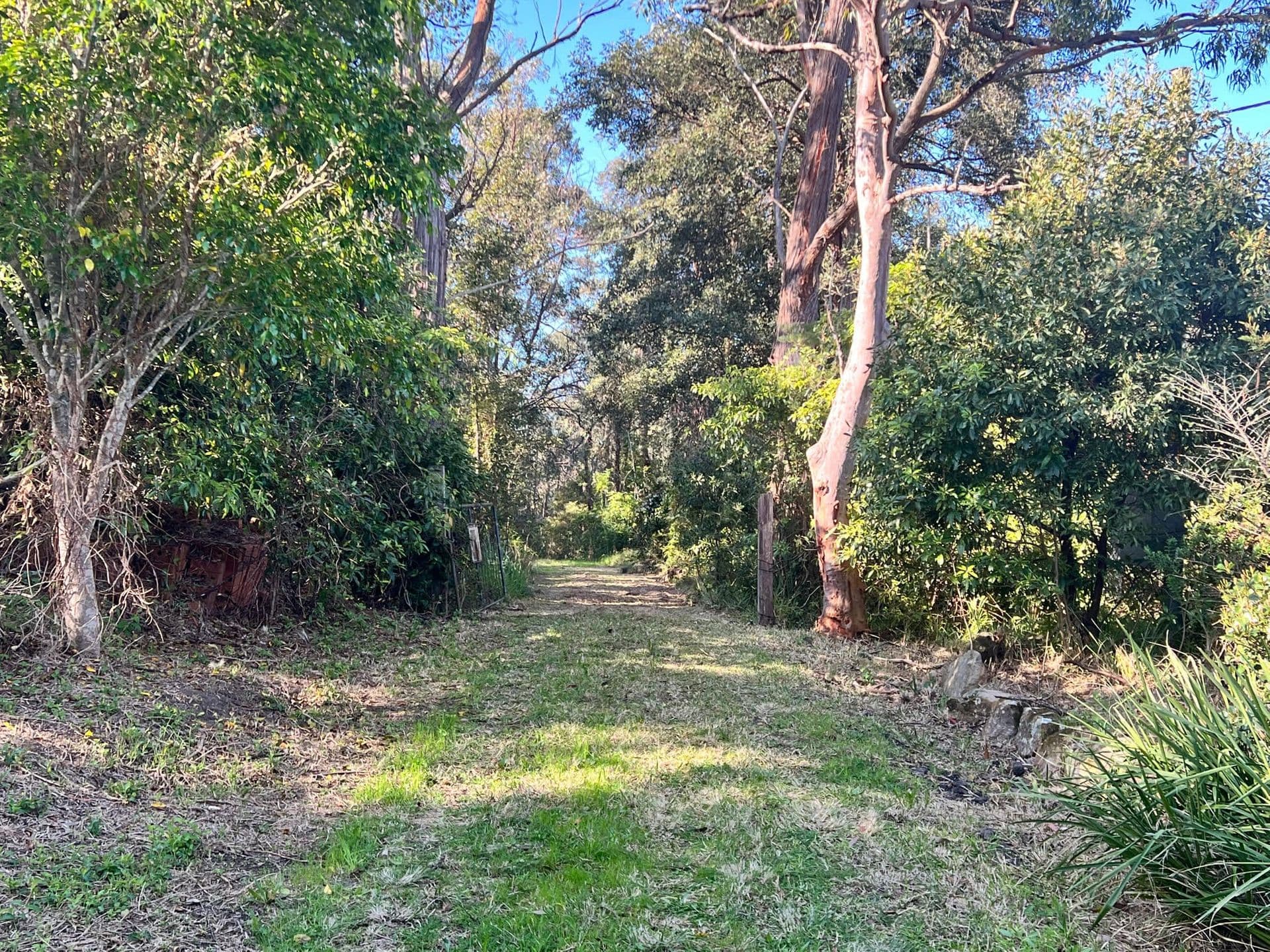 10 Farm Road, Springwood, NSW, 2777, Springwood - Thumbnail 6