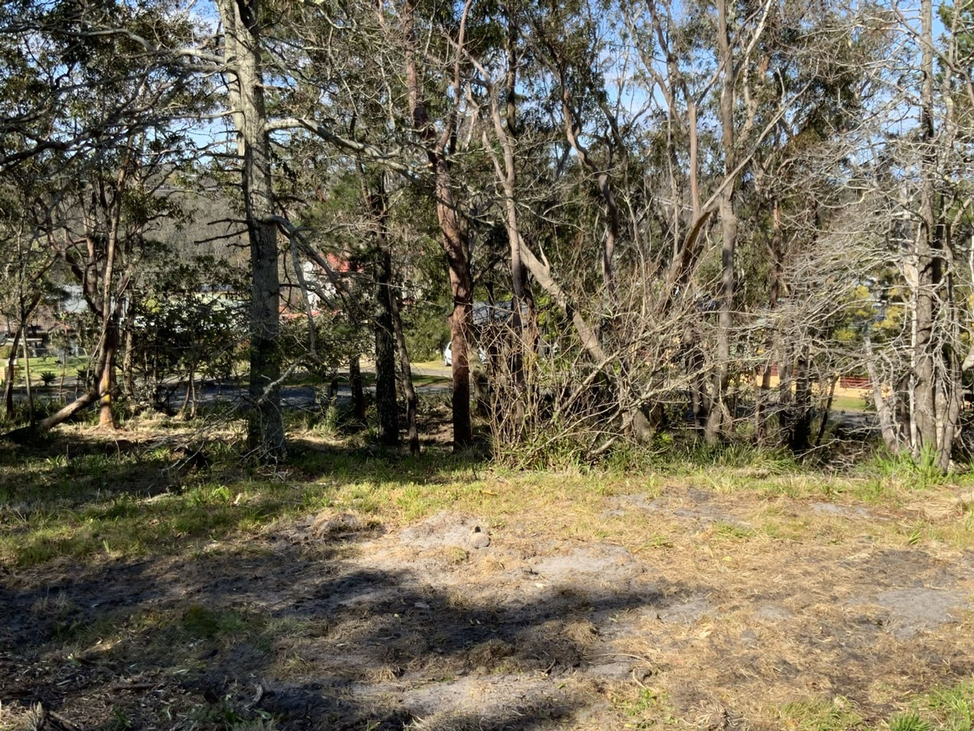 8 Park Road, Woodford, NSW, 2778, Woodford - Thumbnail 6