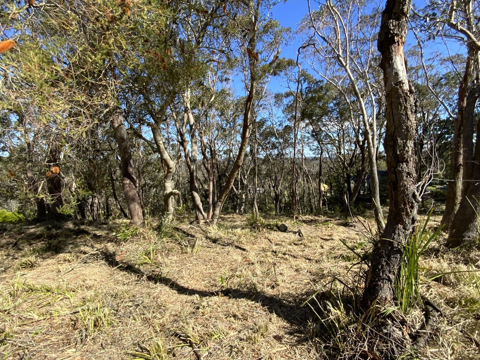 8 Park Road, Woodford, NSW, 2778, Woodford - Thumbnail 5