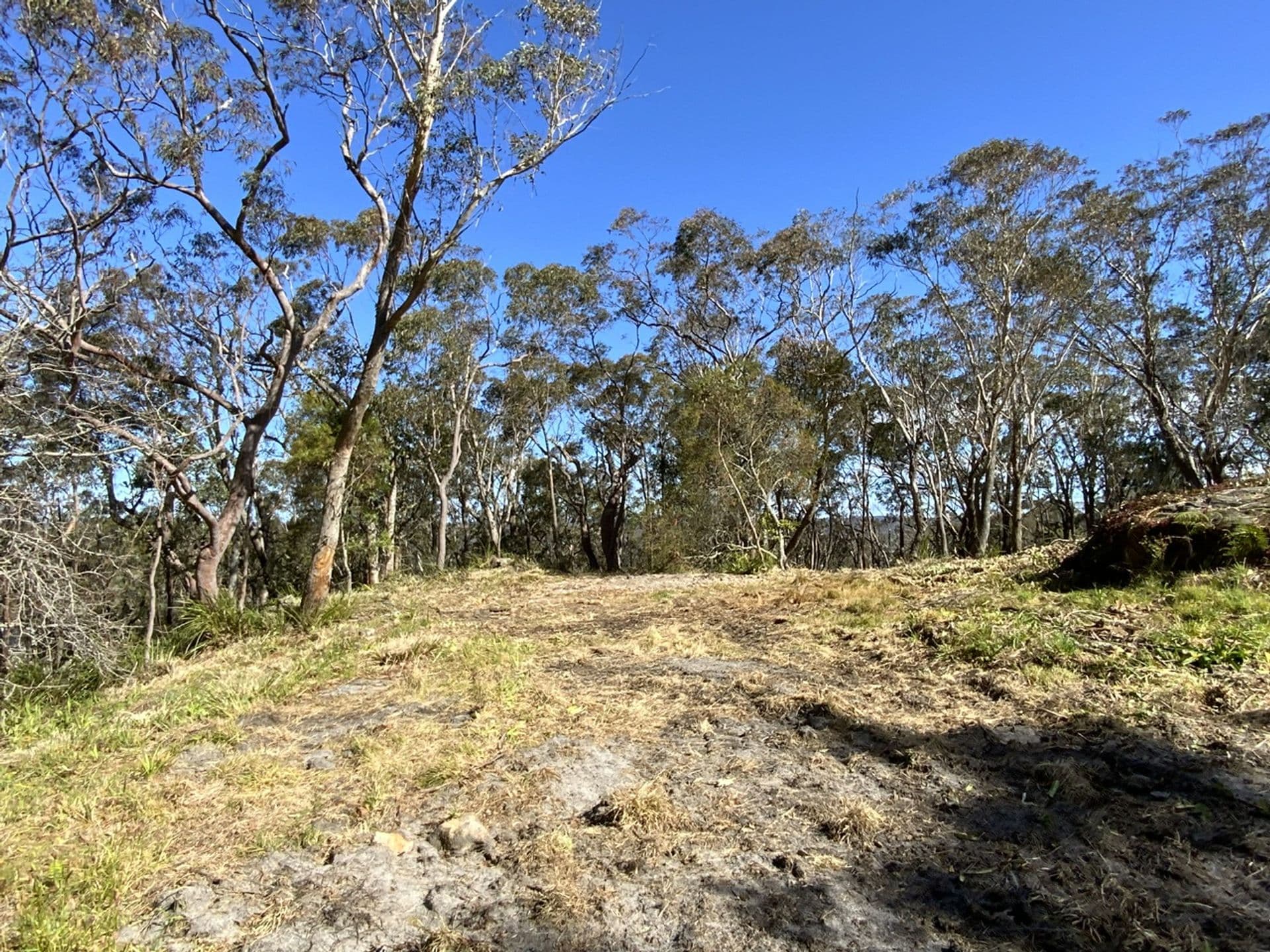 8 Park Road, Woodford, NSW, 2778, Woodford - Image 1
