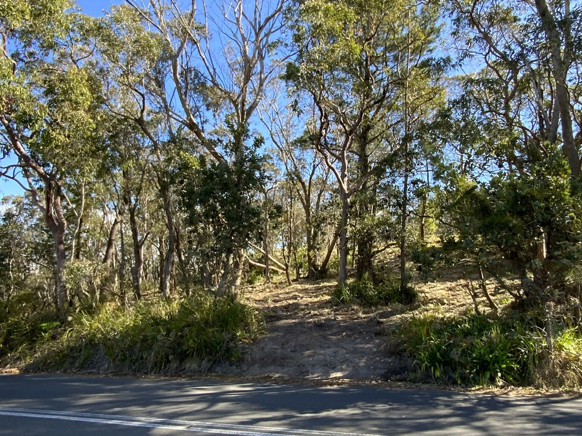 8 Park Road, Woodford, NSW, 2778, Woodford - Thumbnail 4