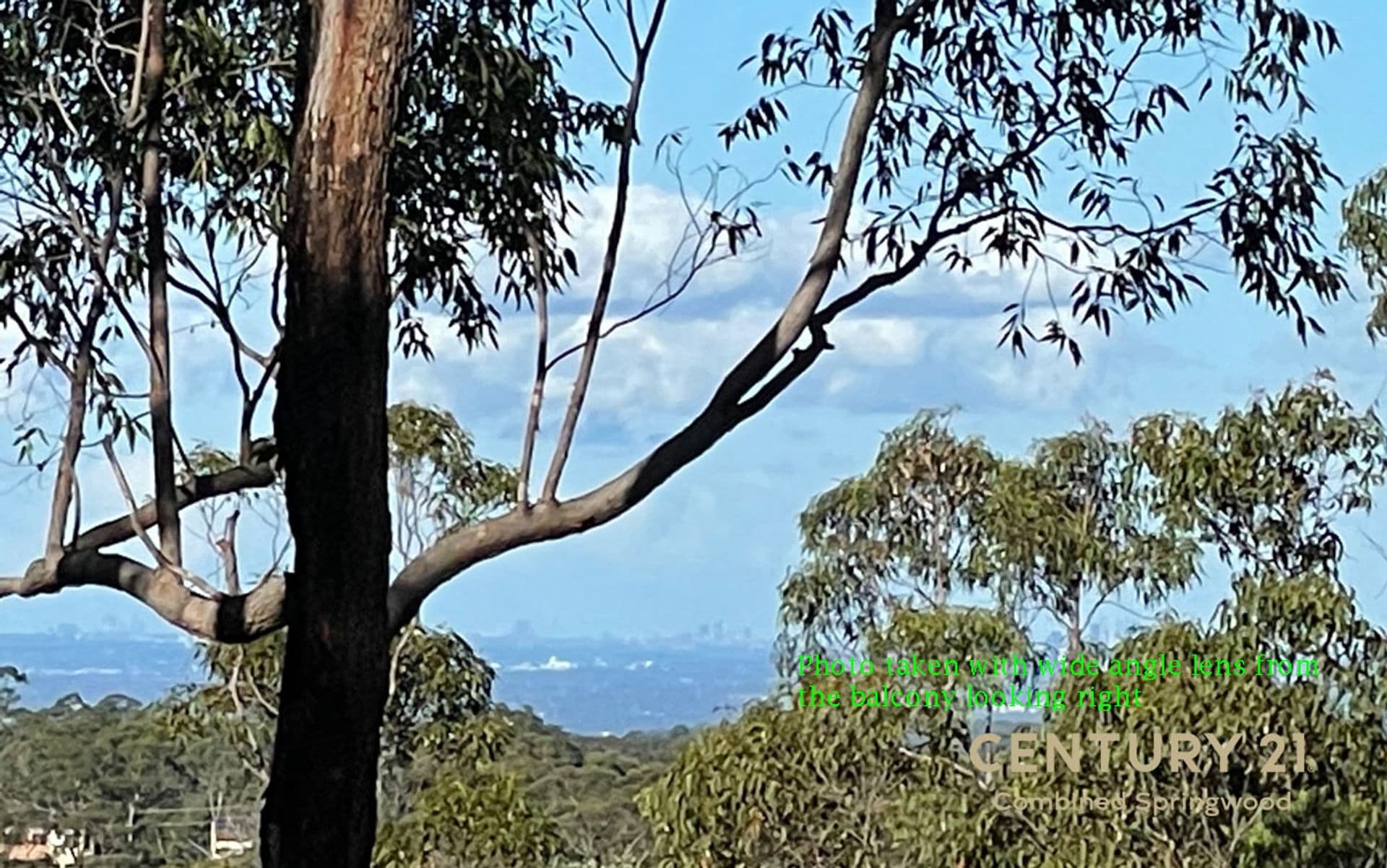 32 Martin Place, Faulconbridge, NSW, 2776, Faulconbridge - Thumbnail 7