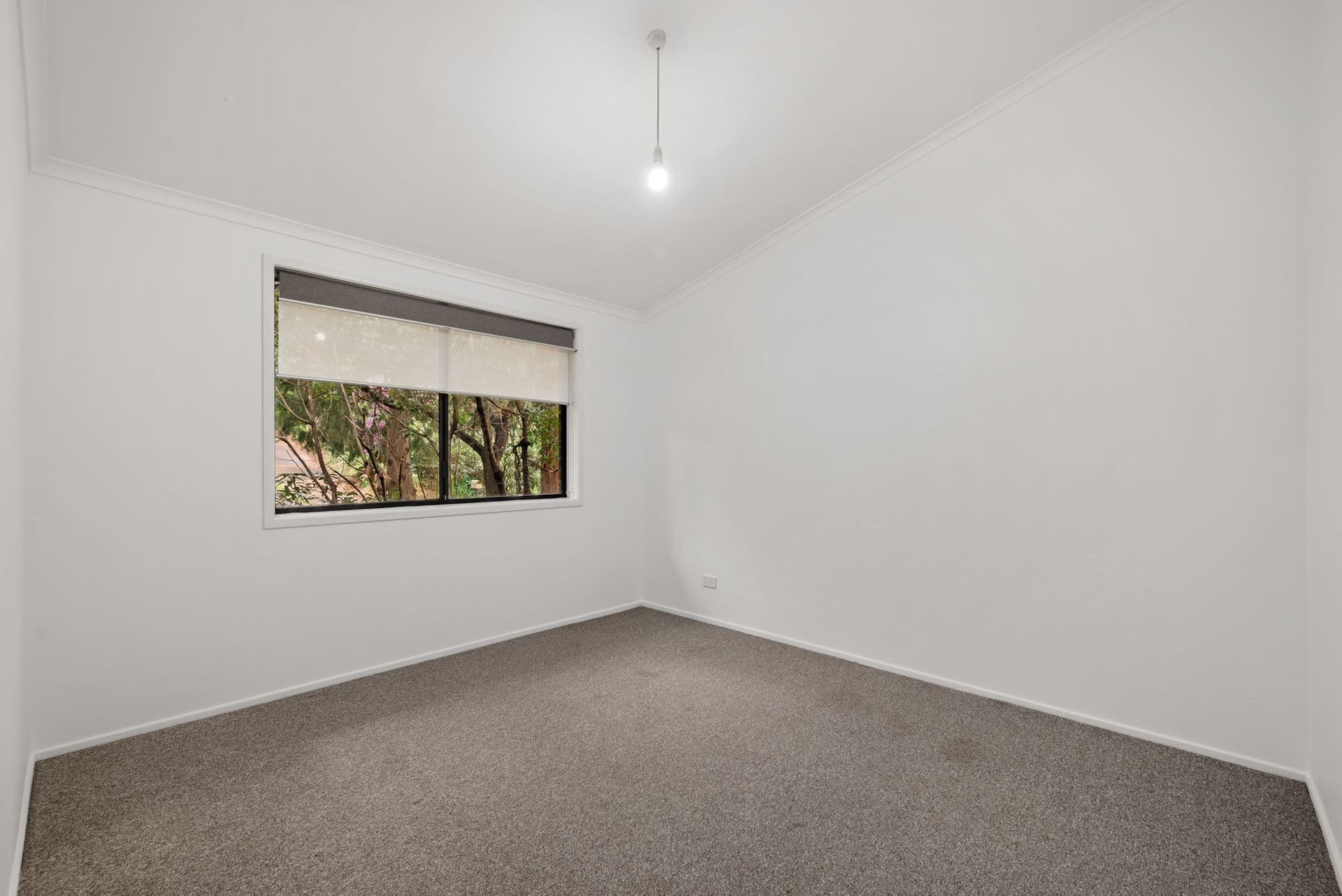 3 Baker St, Springwood, NSW, 2777, Springwood - Thumbnail 5